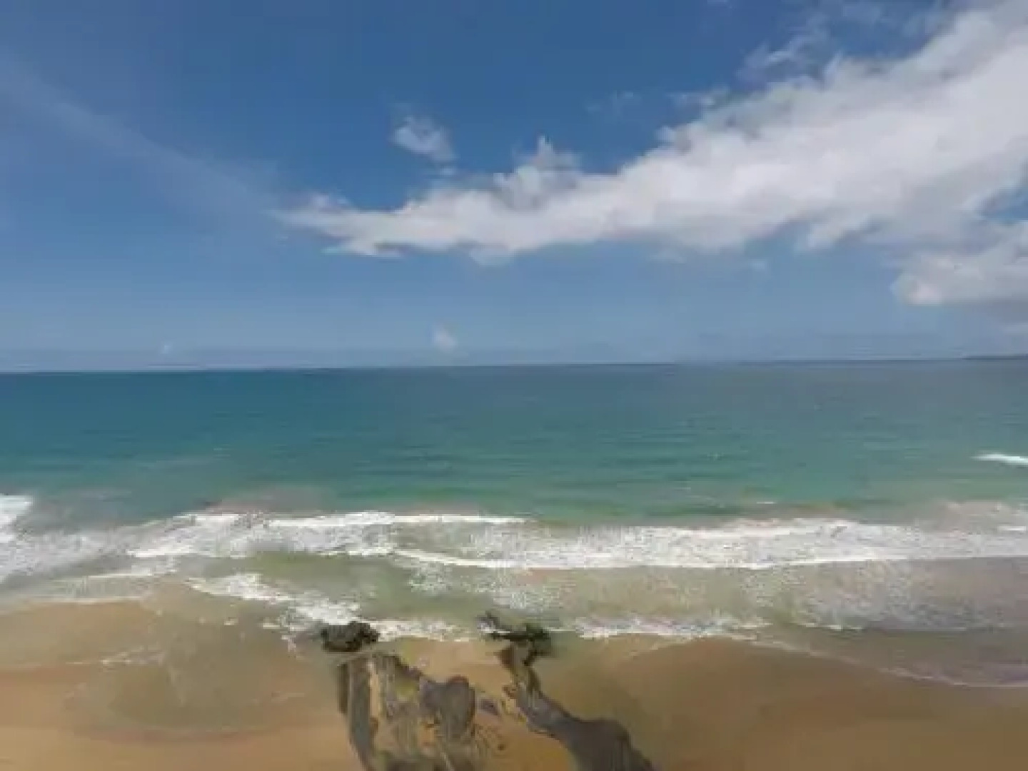 Oceanfront Turtles Nest