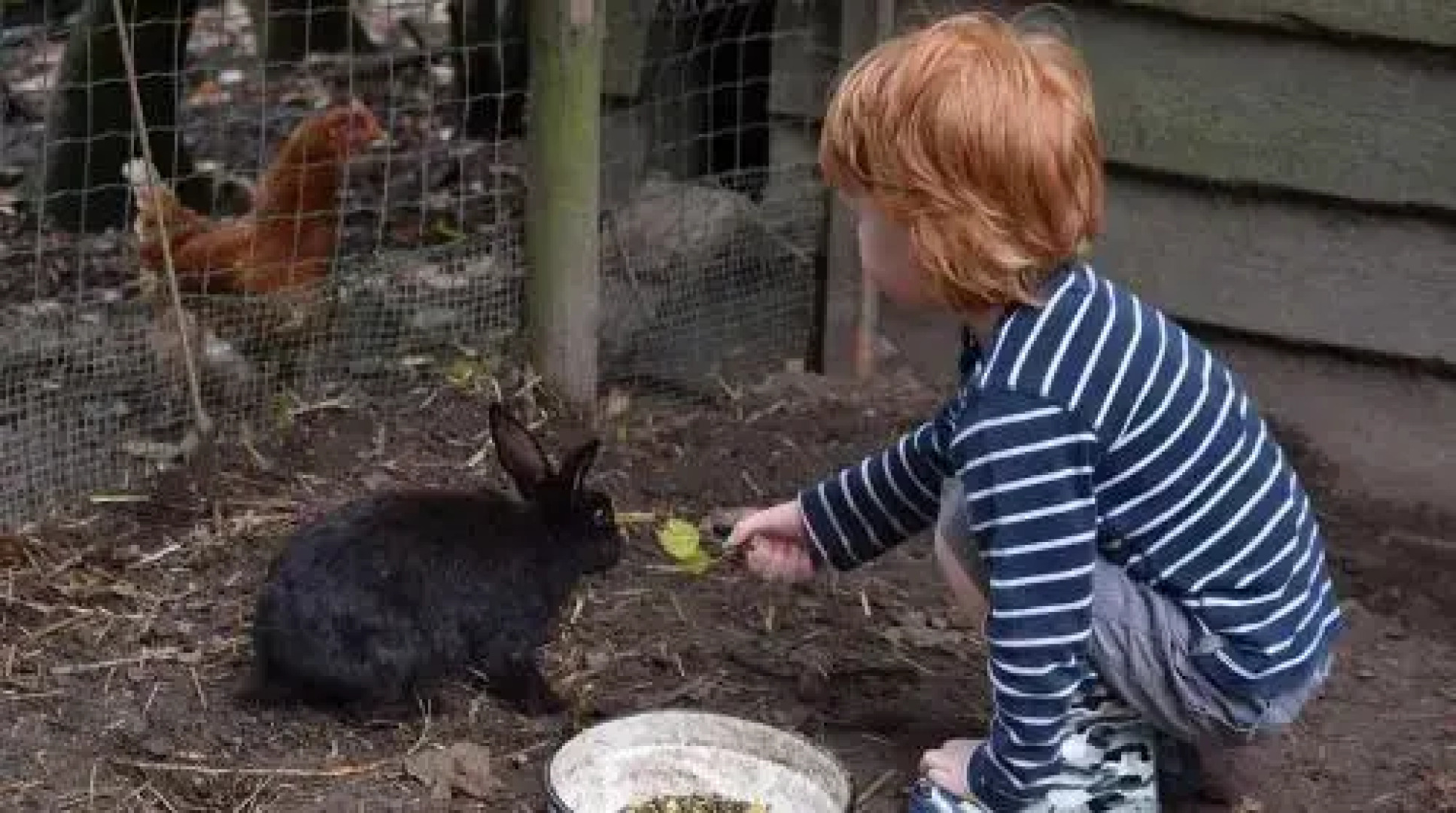 BoerenBed Hoeve Meskenwier