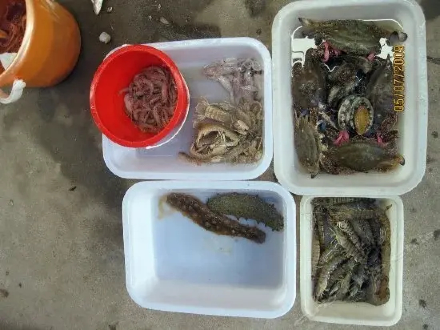 Rizhao Shenglong Fishermans Hotel