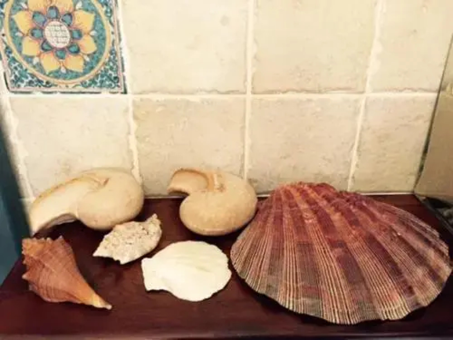 B&B dei Fiori