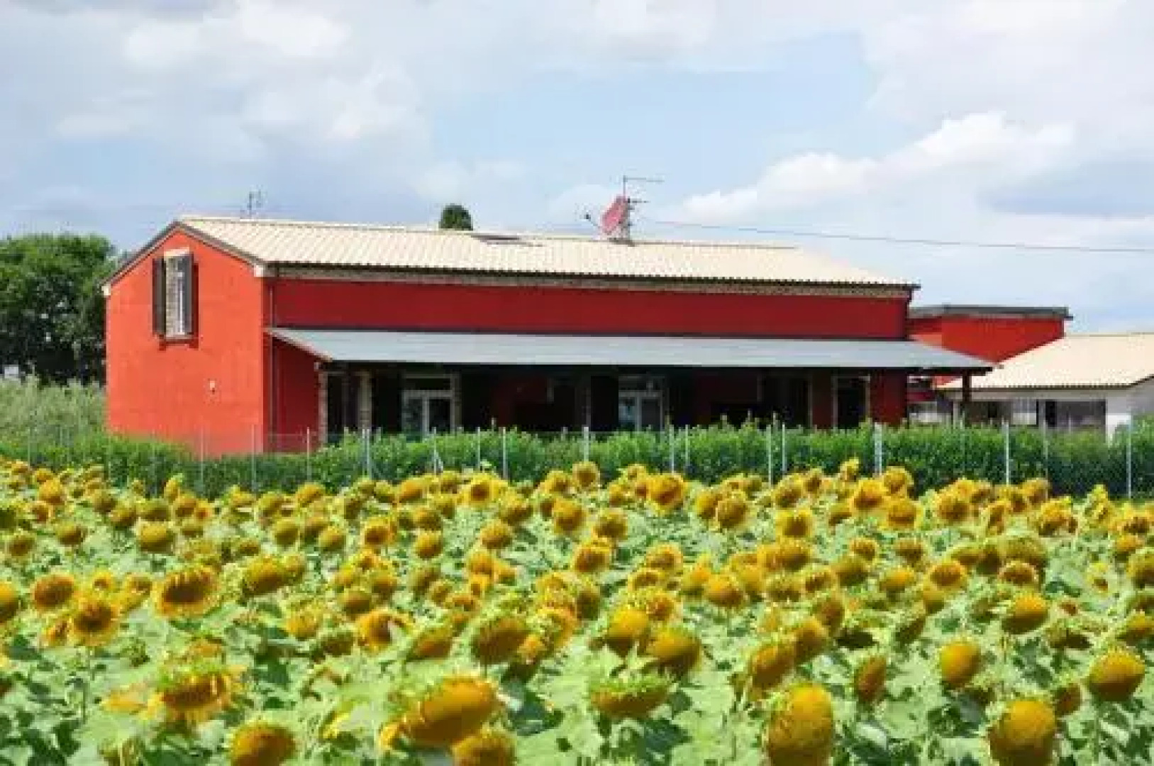 Il Contadino e il Mare