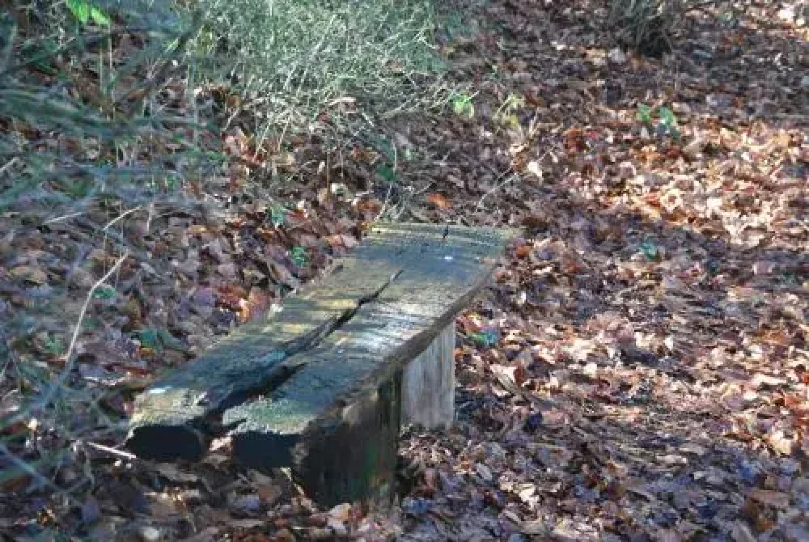 De Hagmolenbeek Boekelo