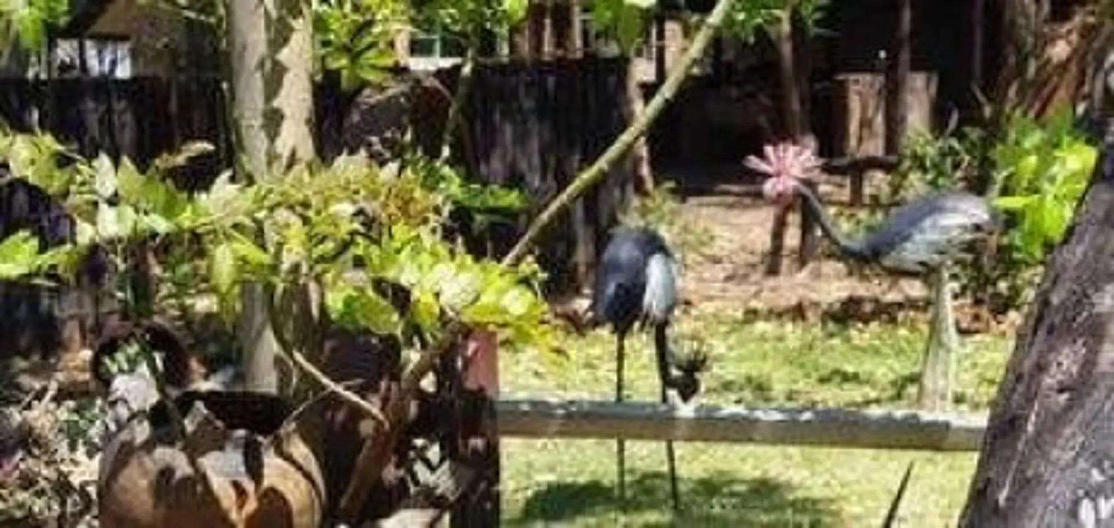 Regency Lodge Panyanda