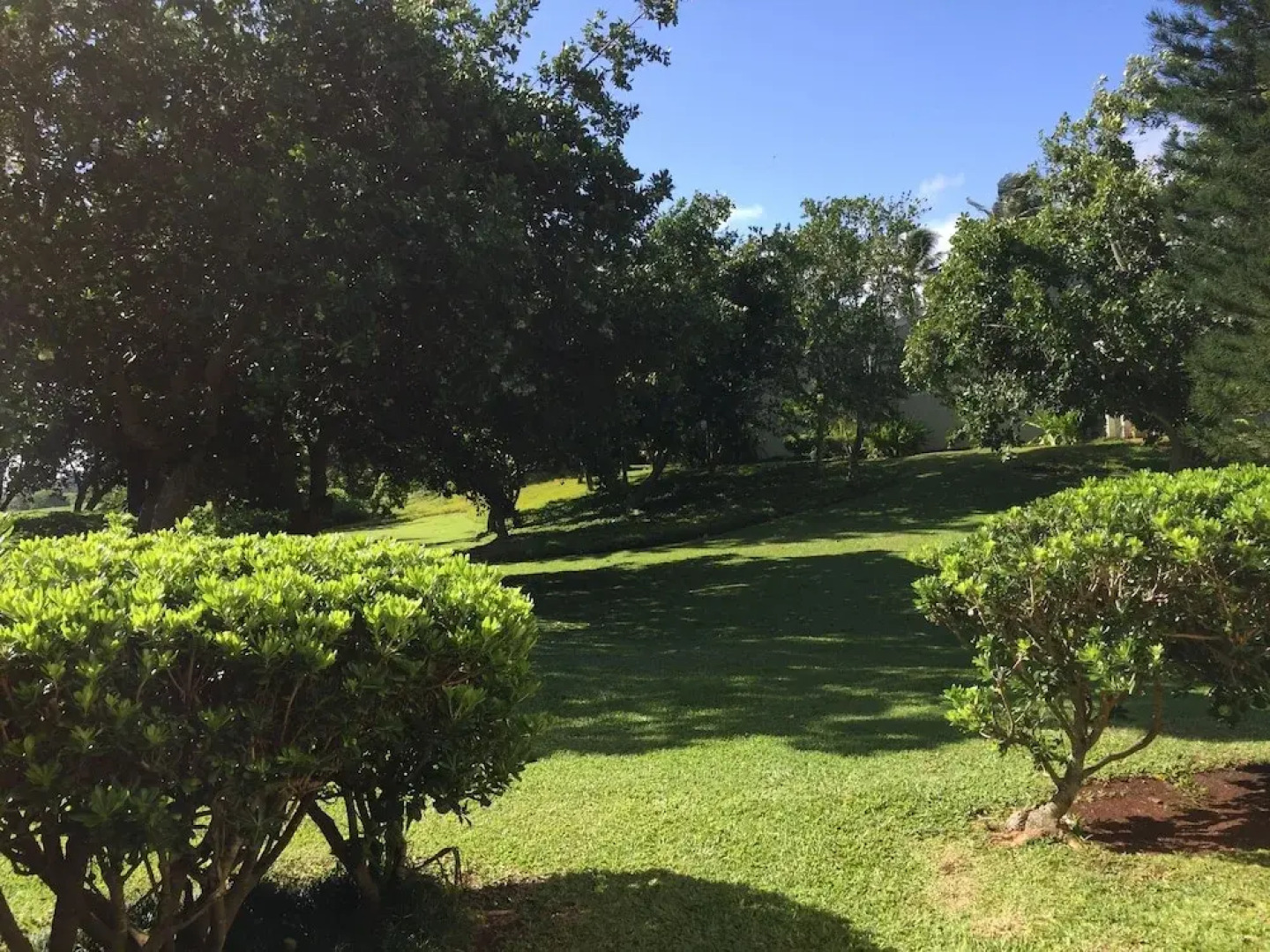 Turtle Bay Primrose***ta-016722124801 1 Bedroom Condo by RedAwning