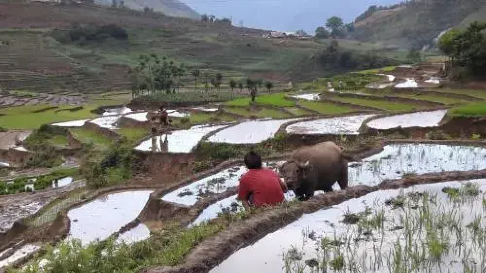 Hoàng Ngần Homestay