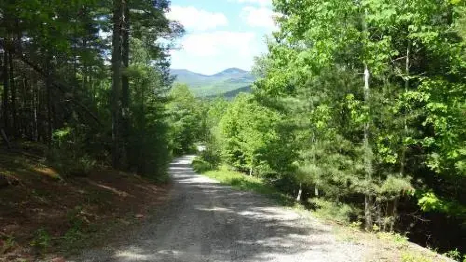 Lake Placid & Whiteface Ebs View Lodge