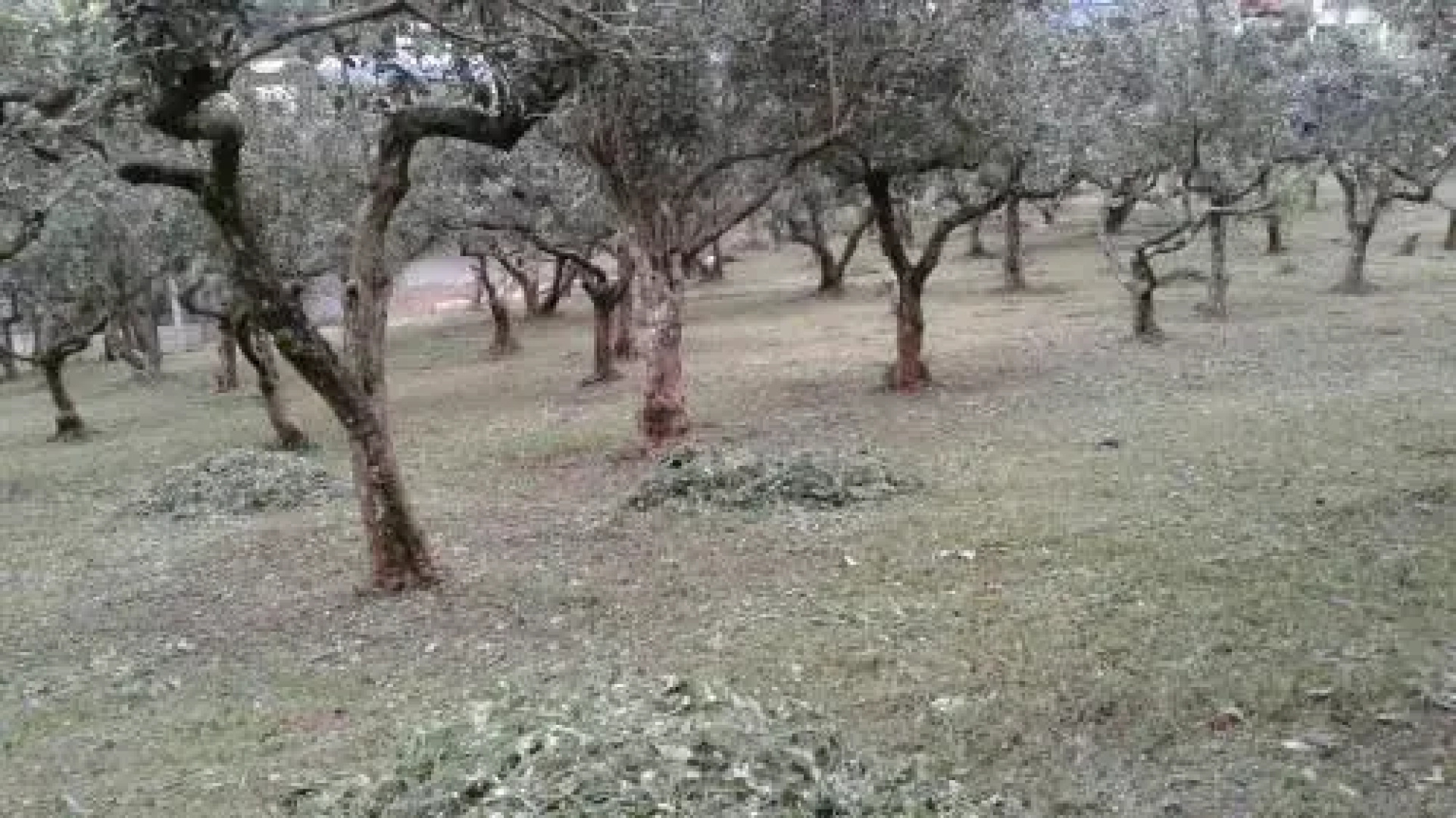 El Secreto Campestre