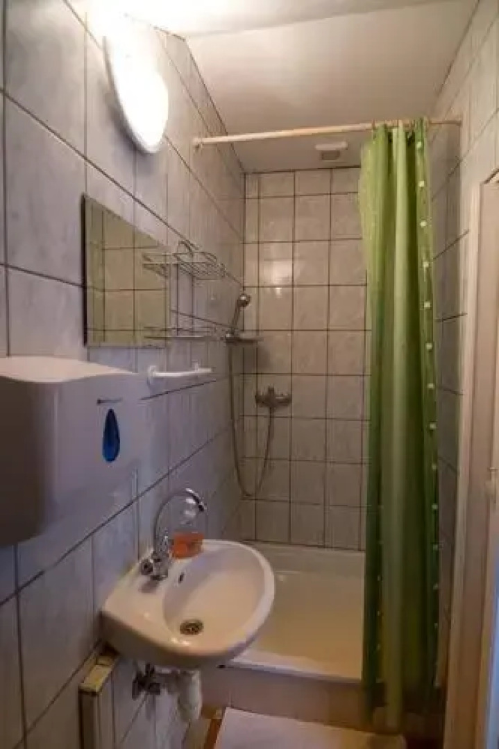 Lila Akc Panzi Esztergom