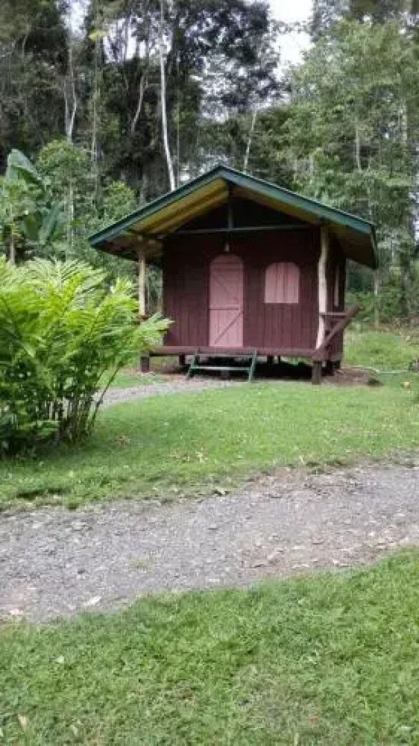 Alouatta Lodge