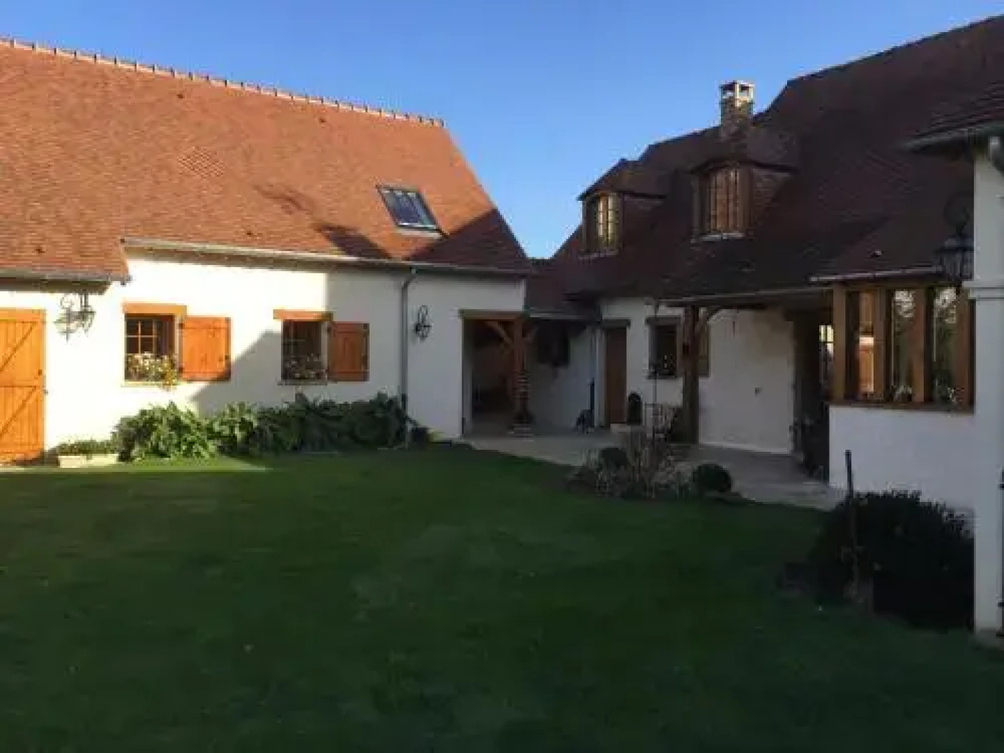 Les Prémices De La Forêt