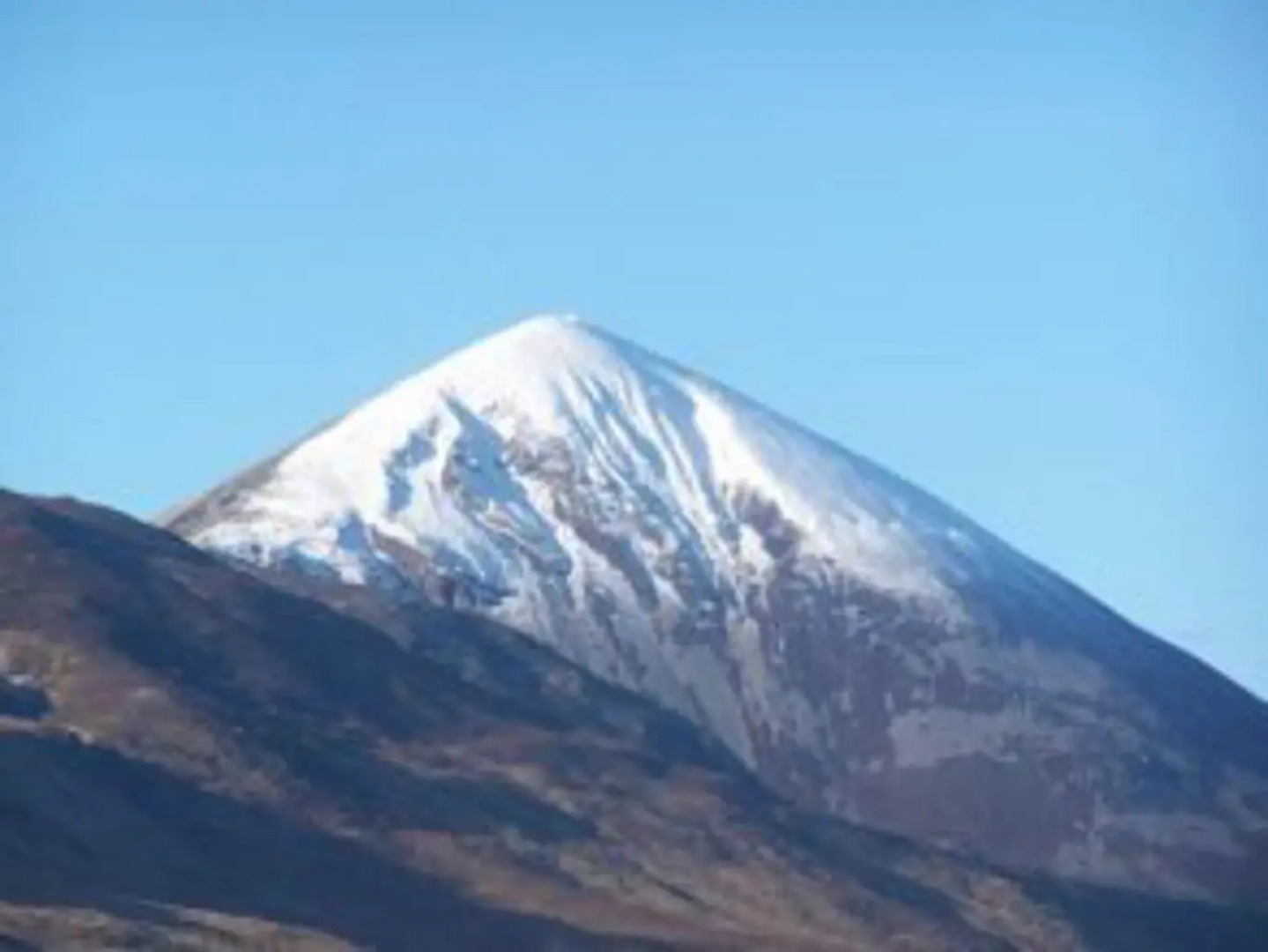 Elephant Guest House