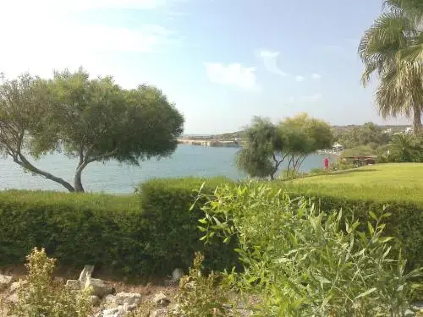 Cyprus Studio
