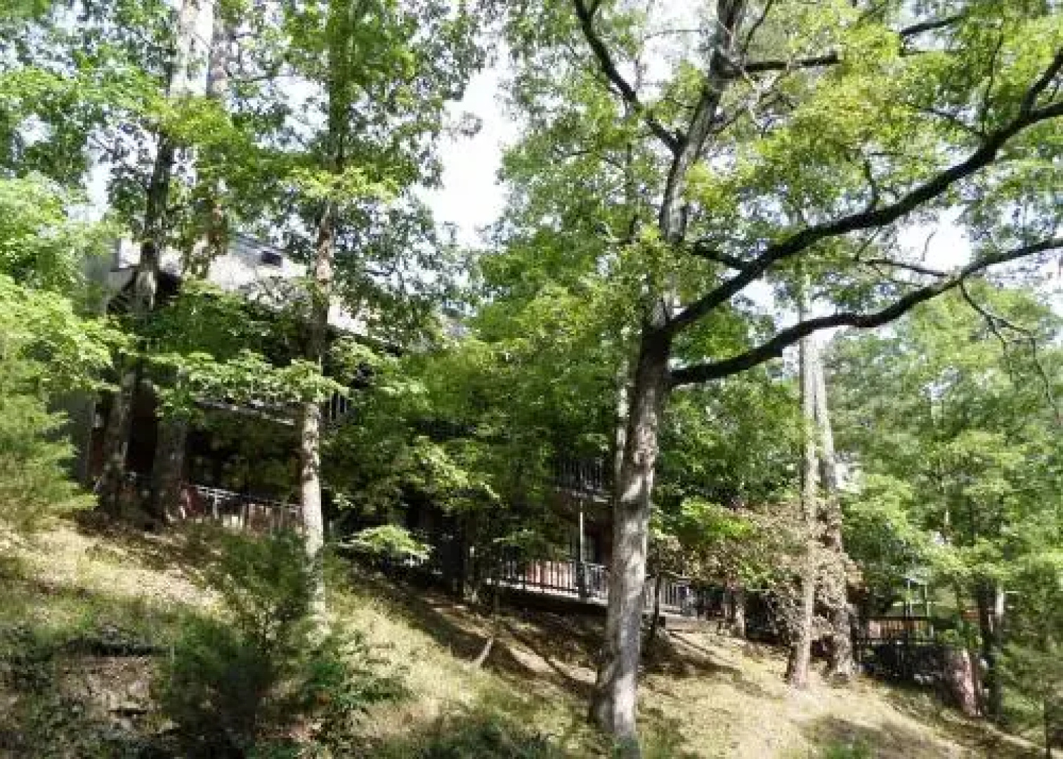 Bella Paradiso Vacation Rentals