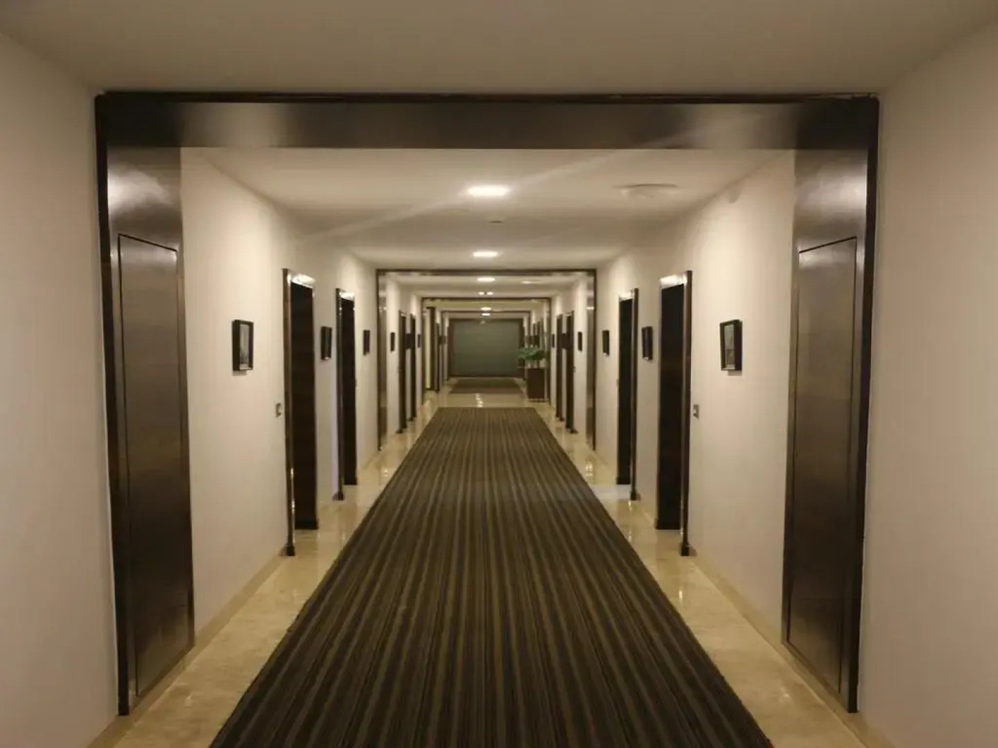 OYO Rooms Pandri Main Road