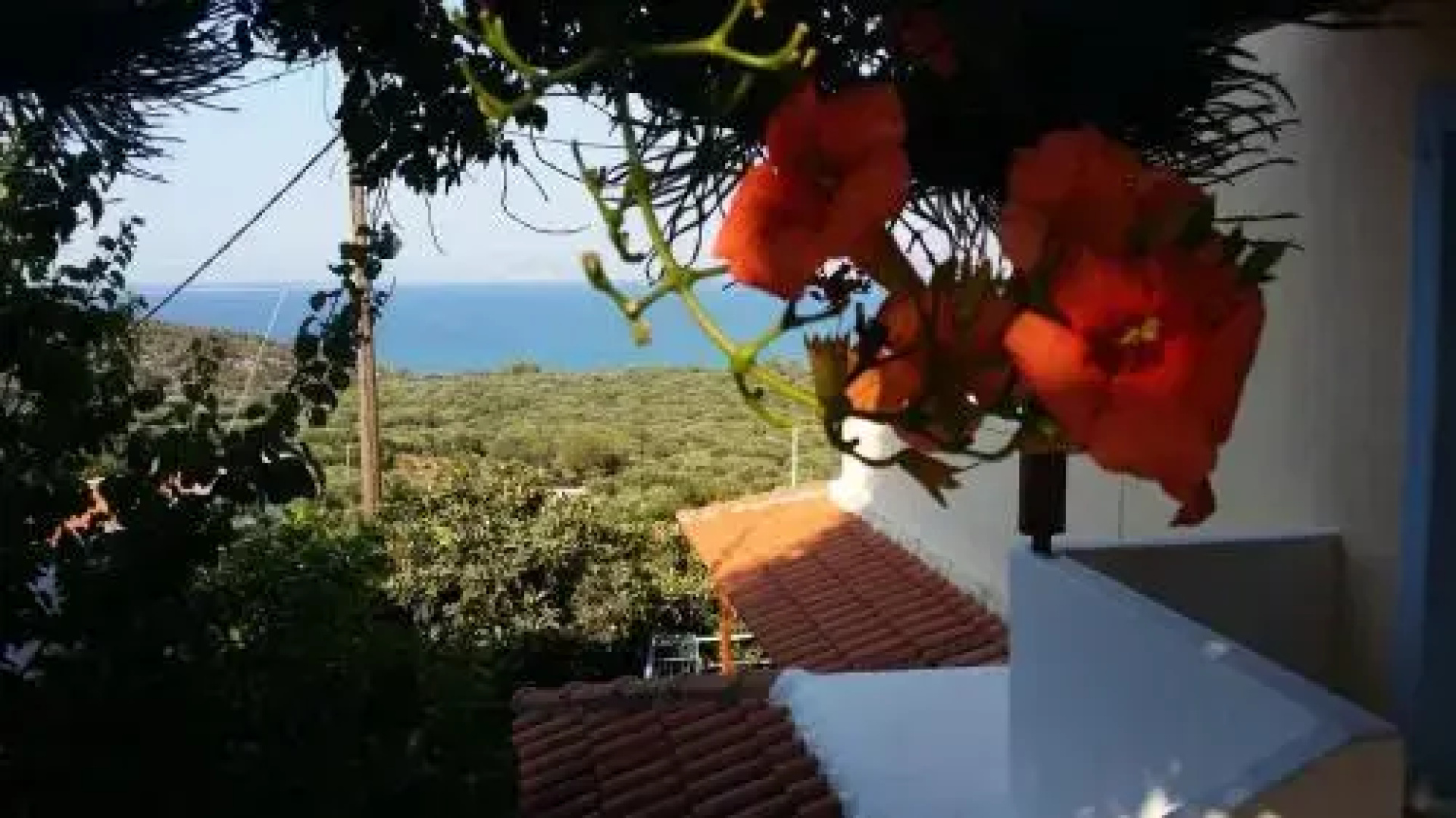 Villa Asimina
