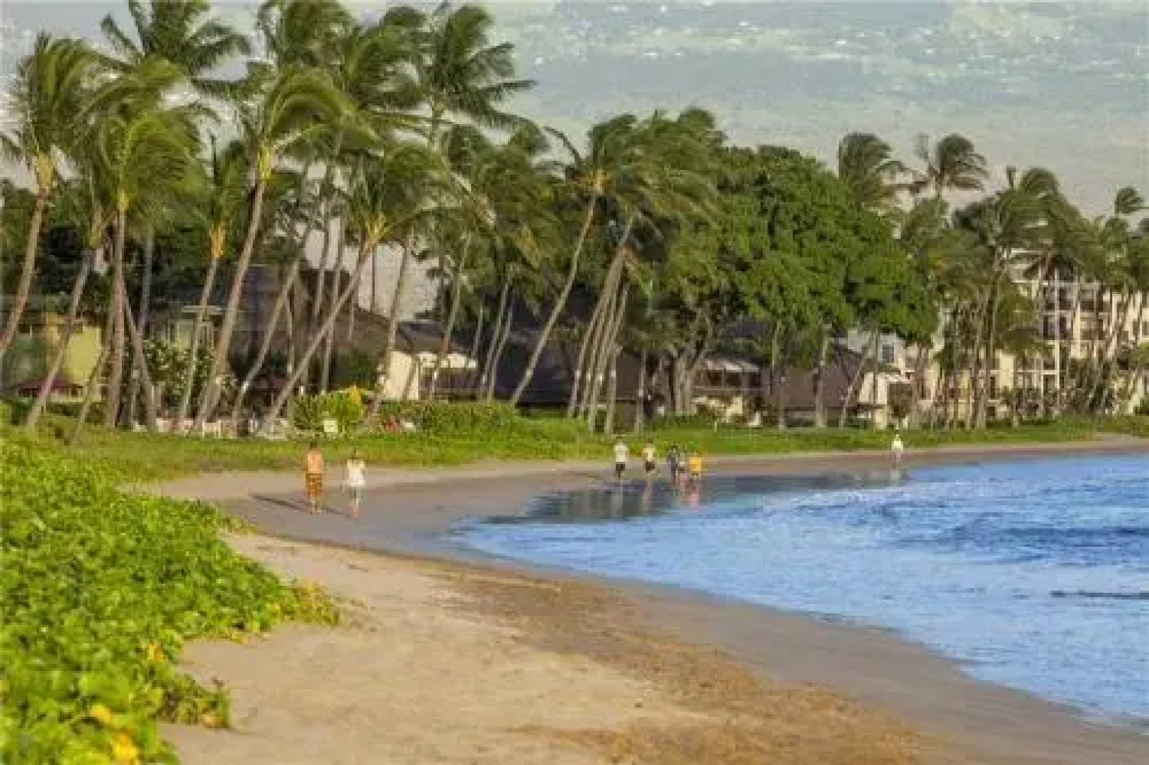 Sugar Beach 227 - 1 Br Condo