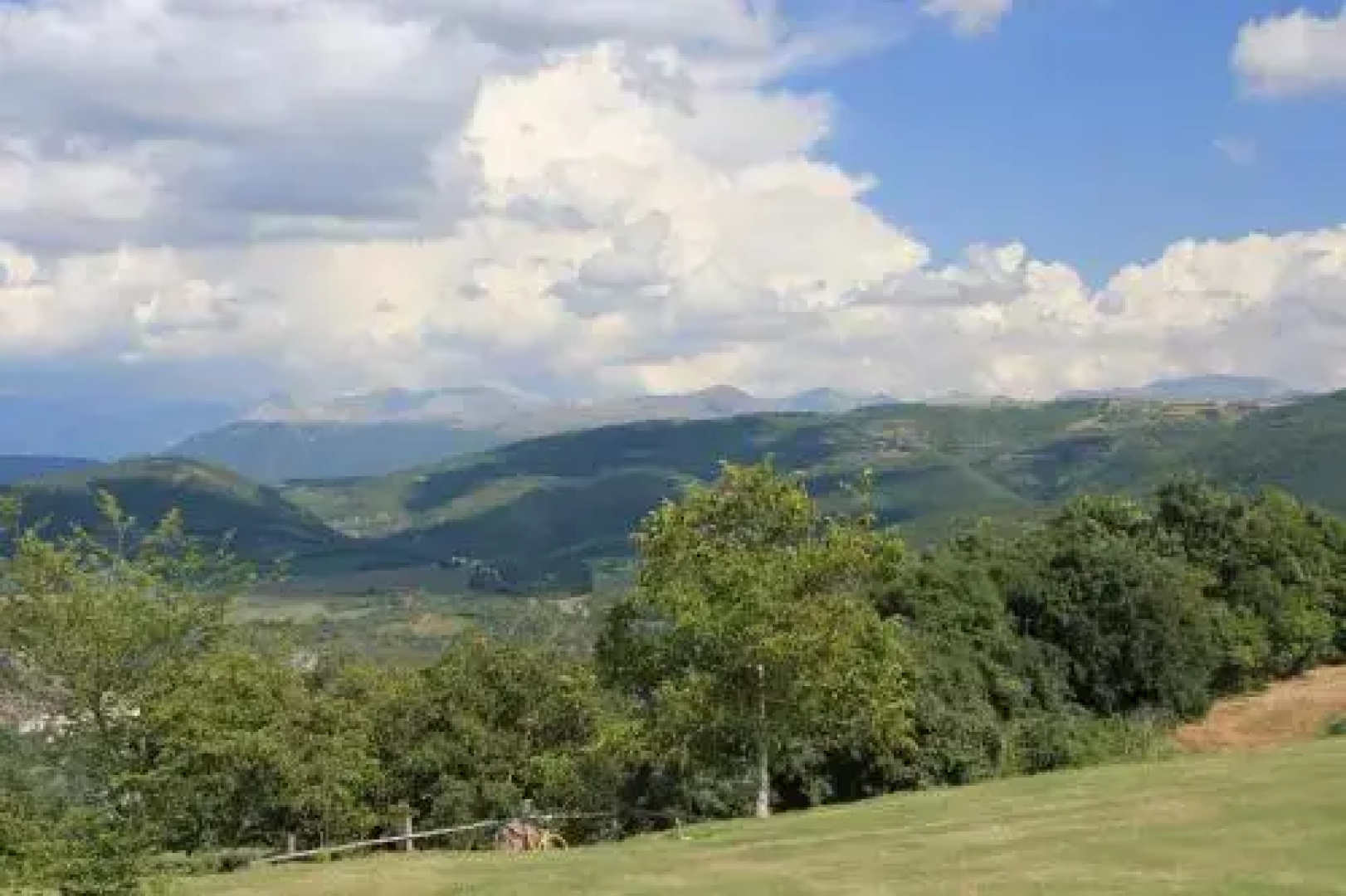 La Ginestra