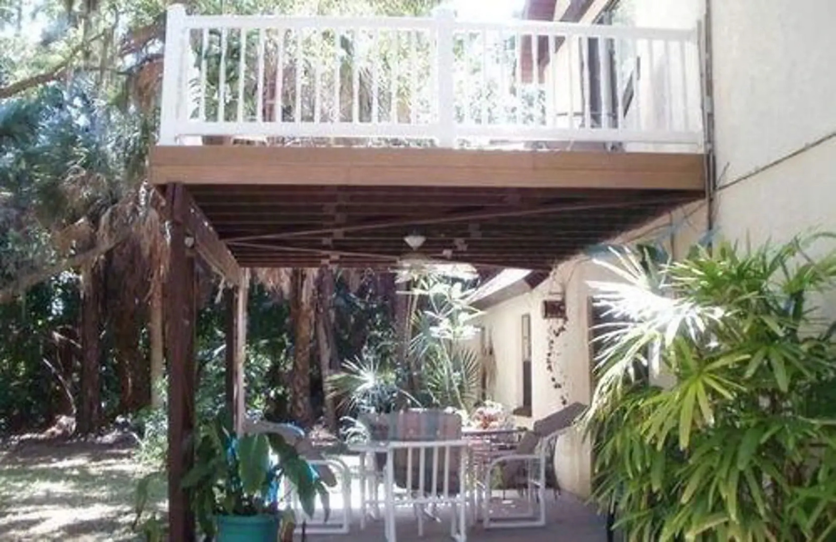 Tropical Jungle Tranquility