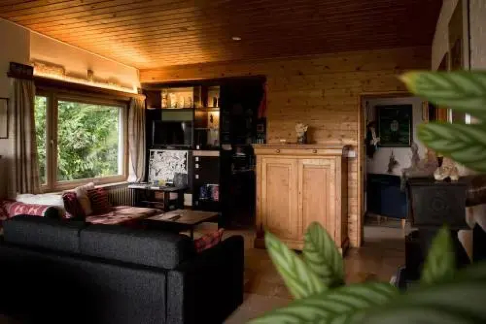 Un Petit Coin De Paradis