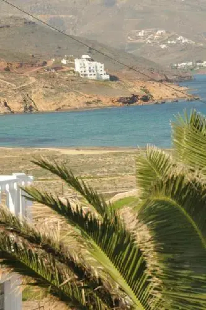 Ftelia View