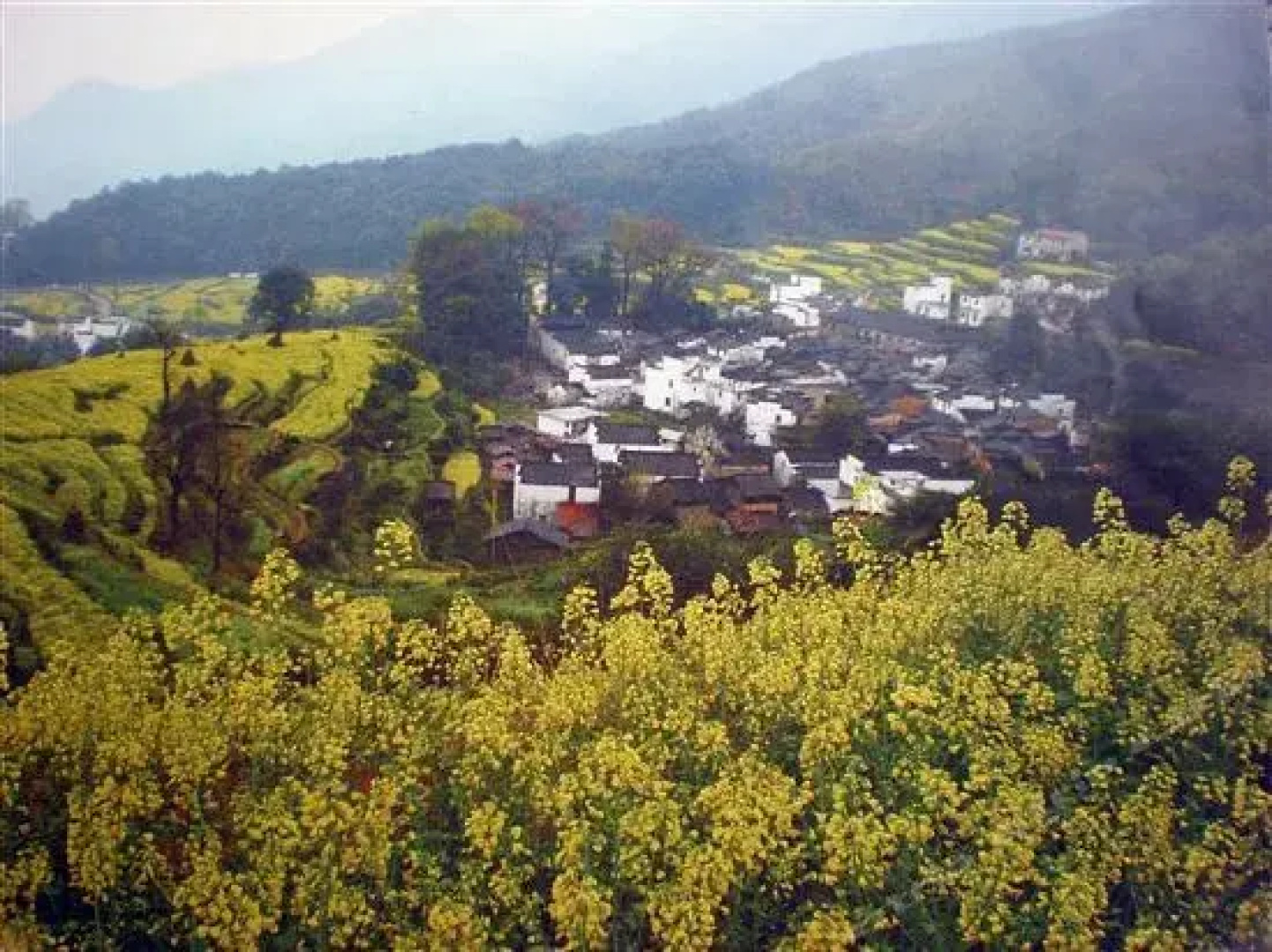 Shangrao Wuyuan Shichengfeng Inn