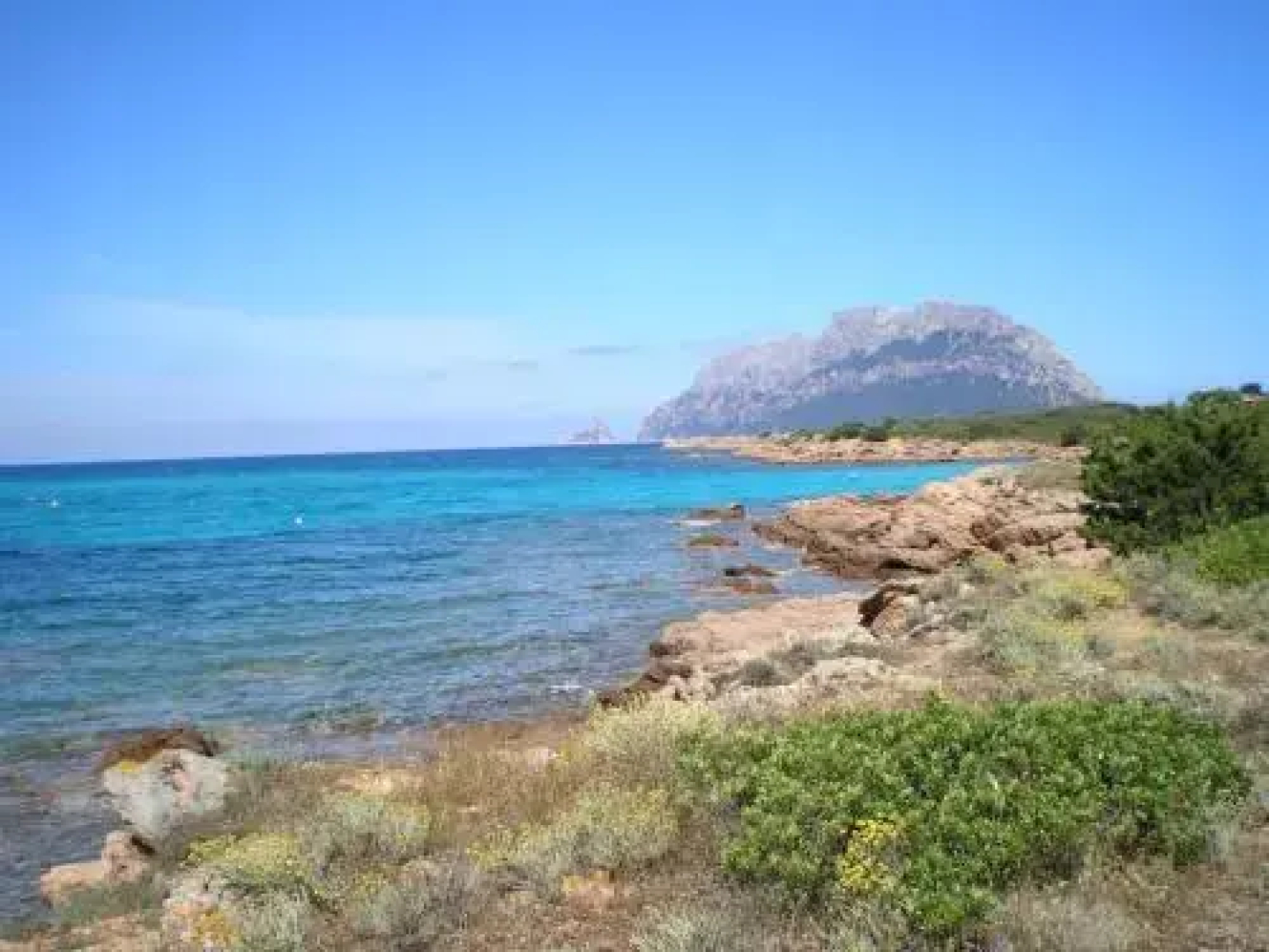 La Locanda di Gavina Braccu