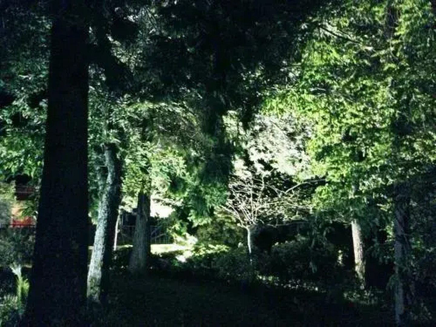 Quinta de Santa Luzia