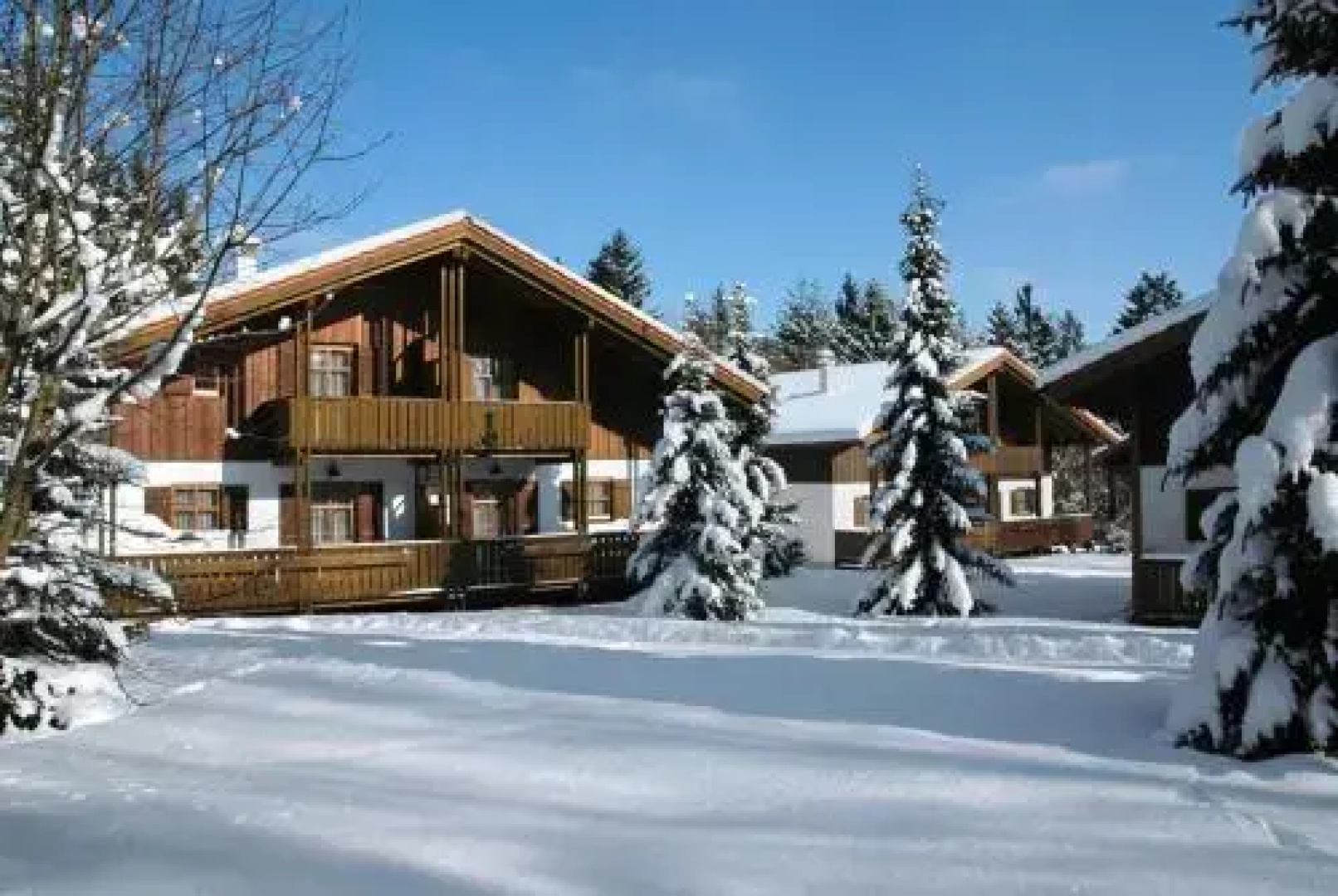 Waldferiendorf