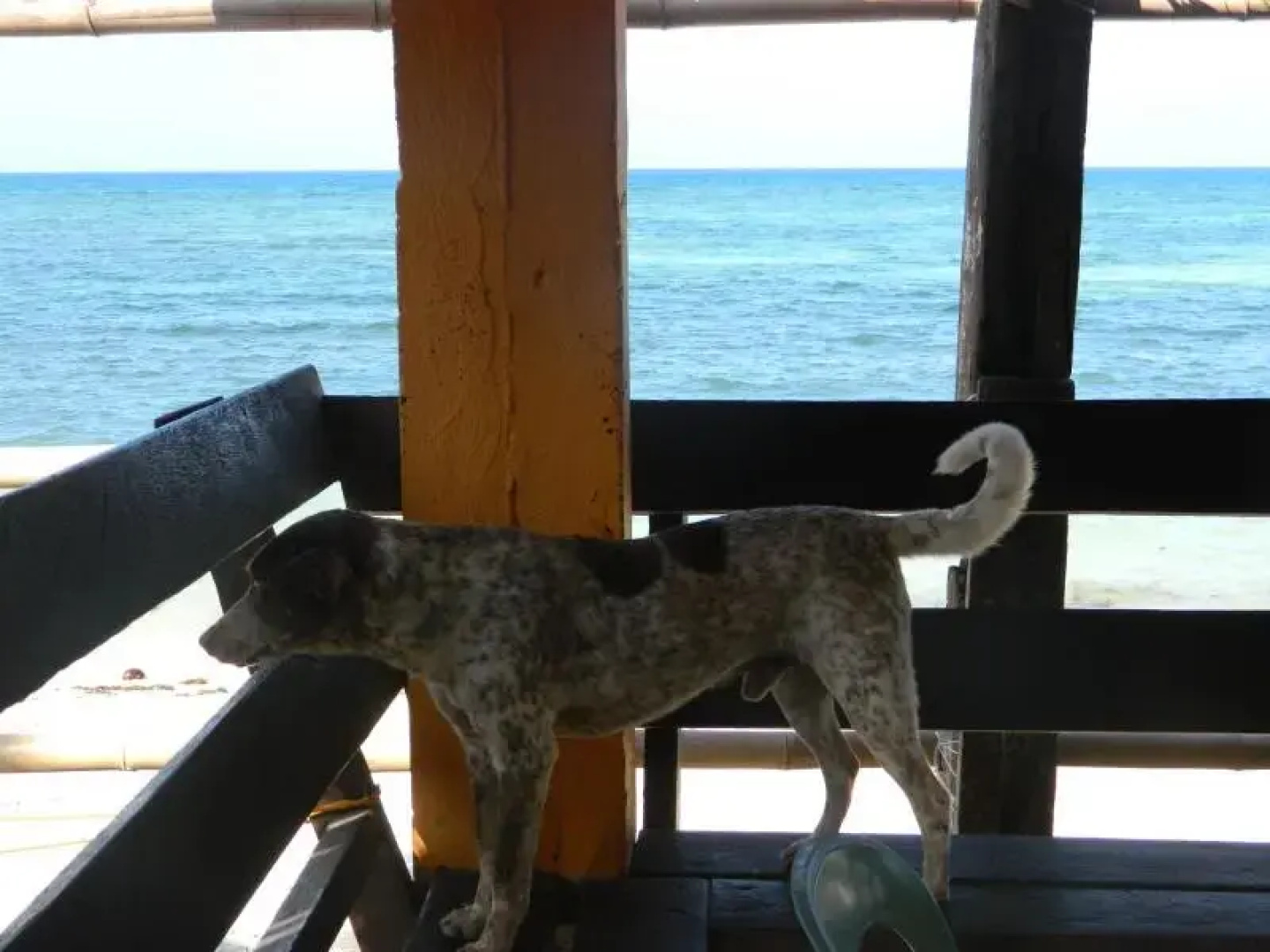 Gailtian Beach Resort