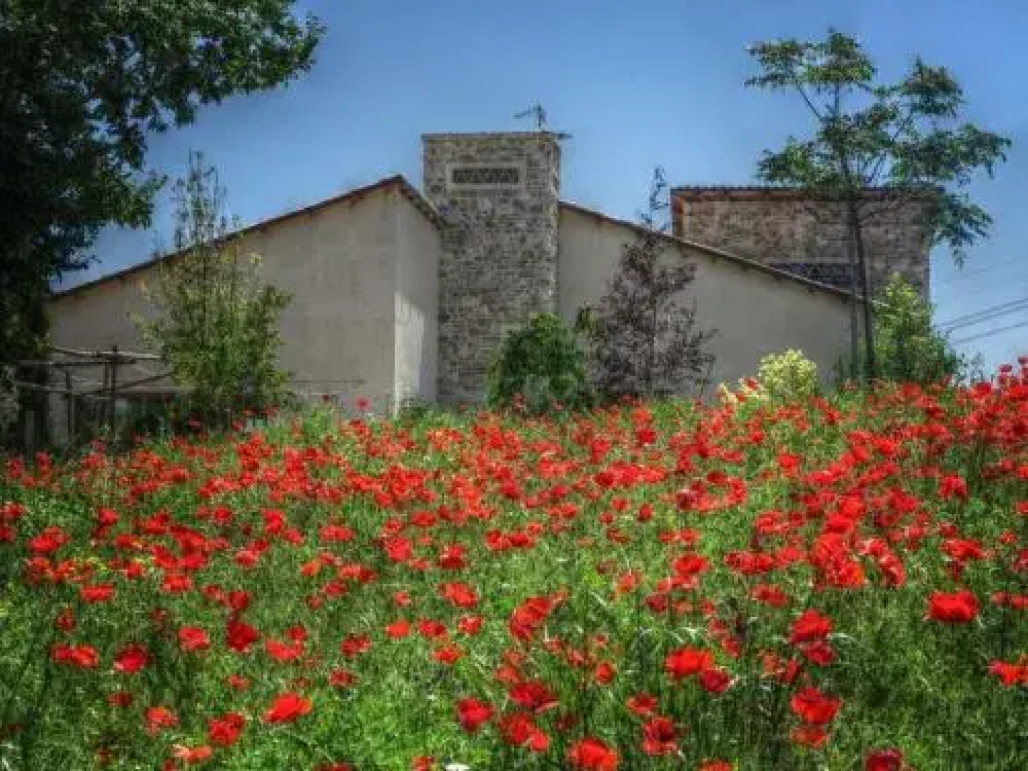 Agriturismo Cignale