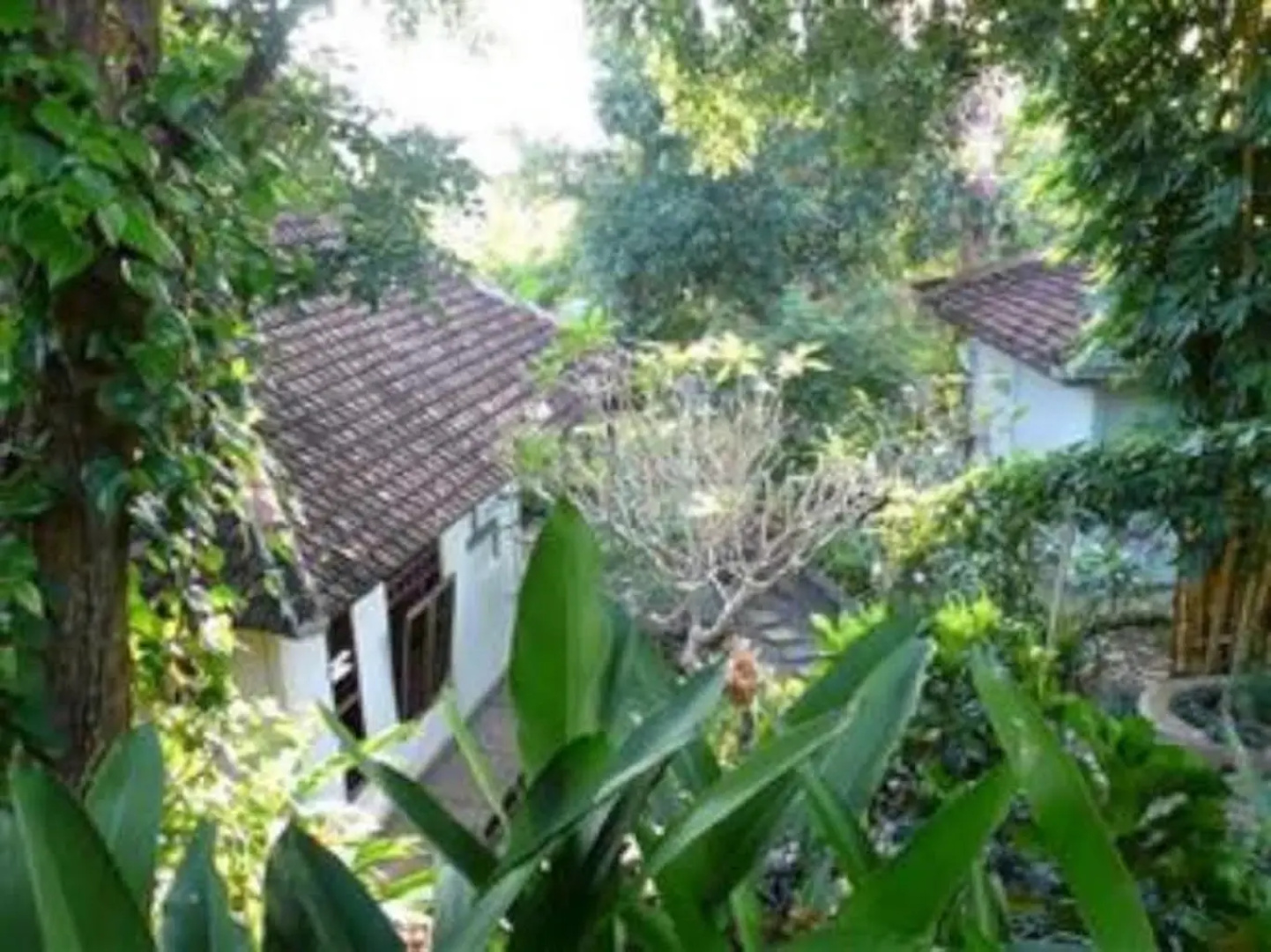 Sananda Bungalow
