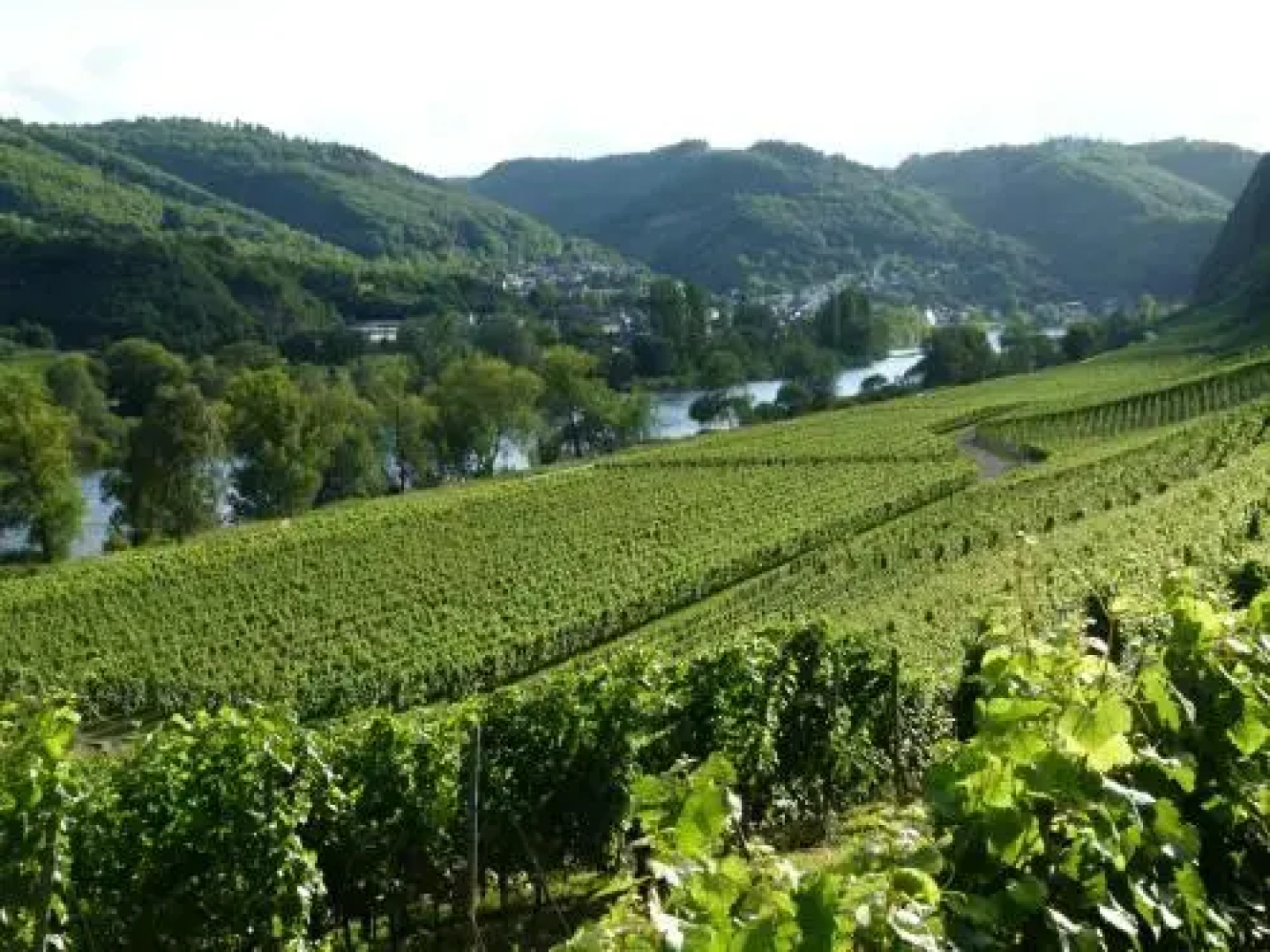 Mosel-Apart Rudorfer