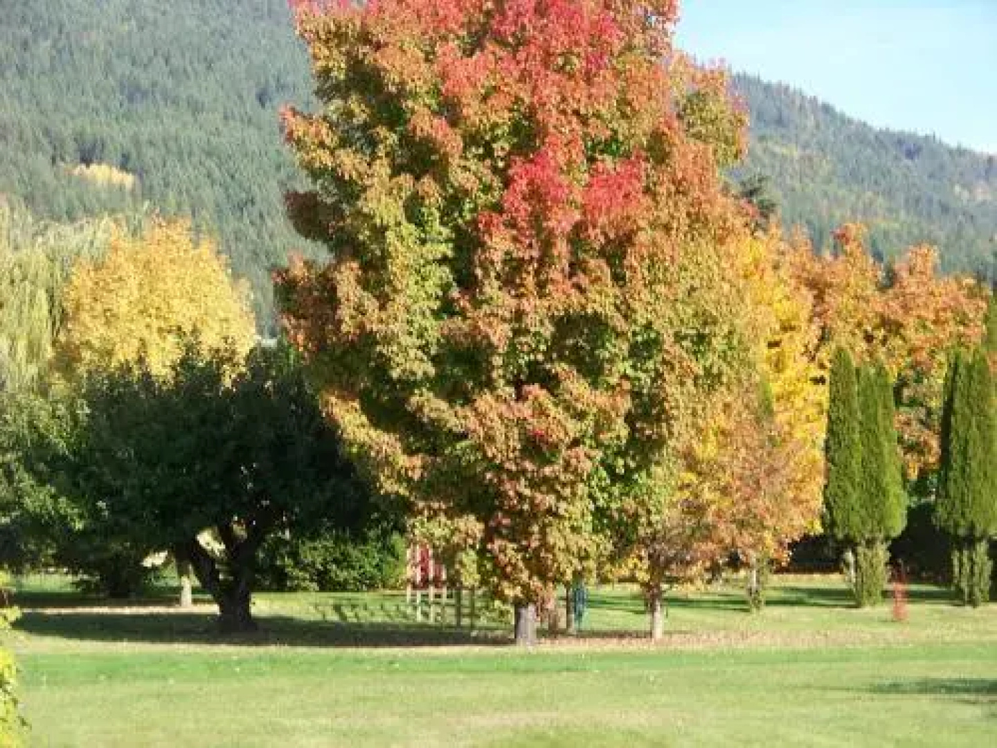 Bavarian Orchard Motel