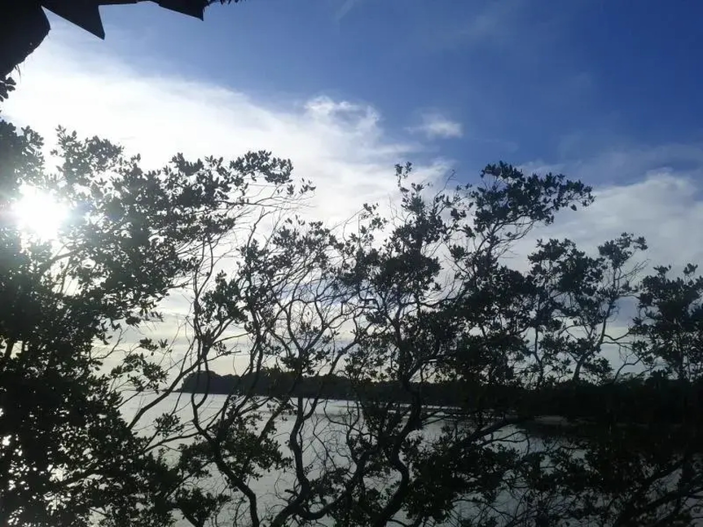 Magic Island Resort 1