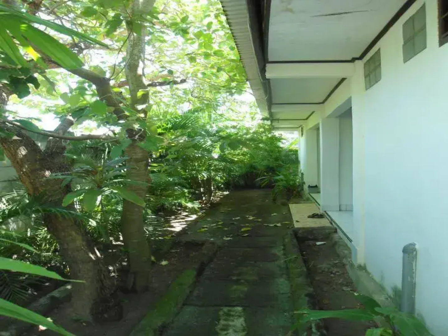 Anda Bungalow