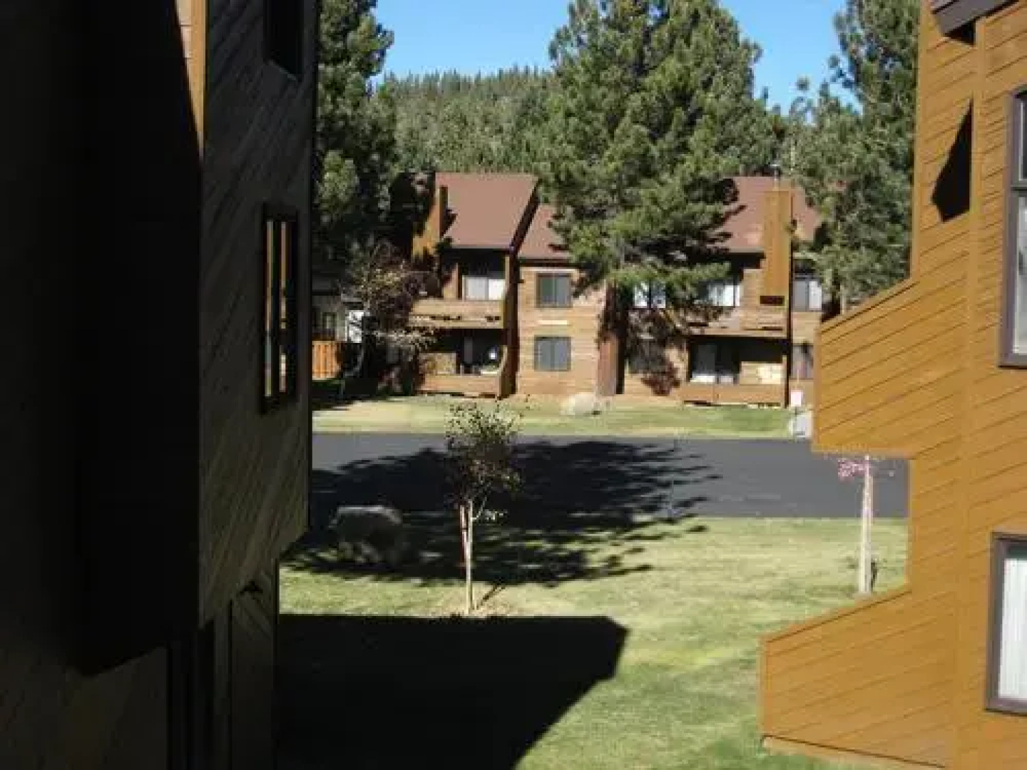 Timberline 52