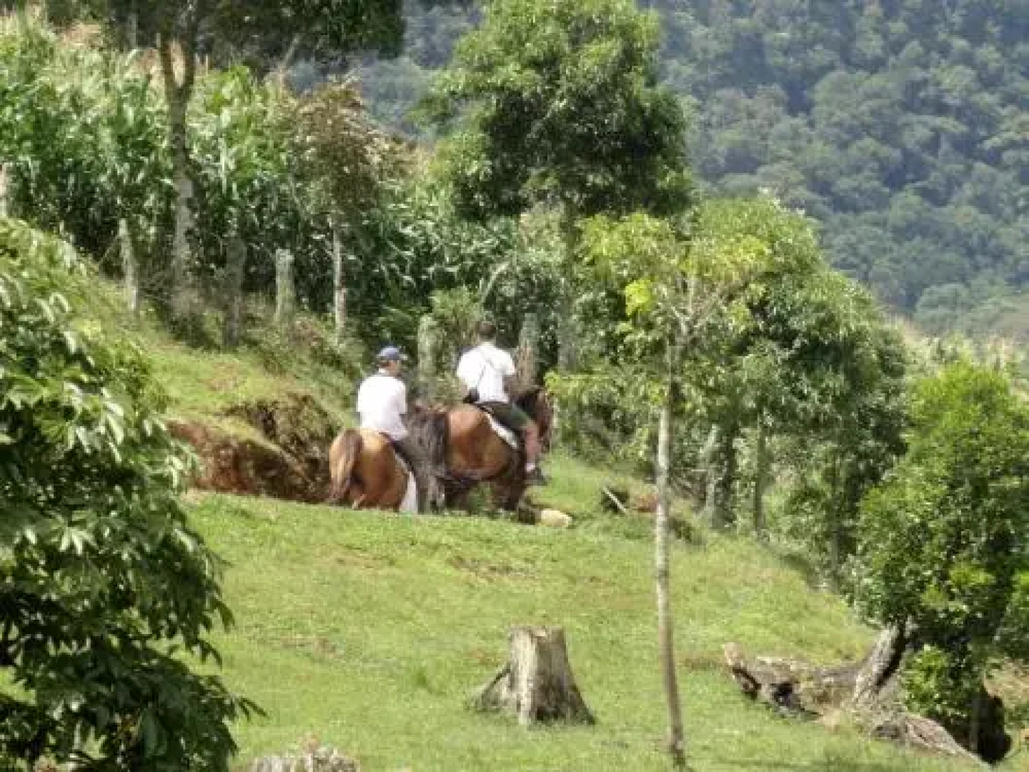 Sítio Colina
