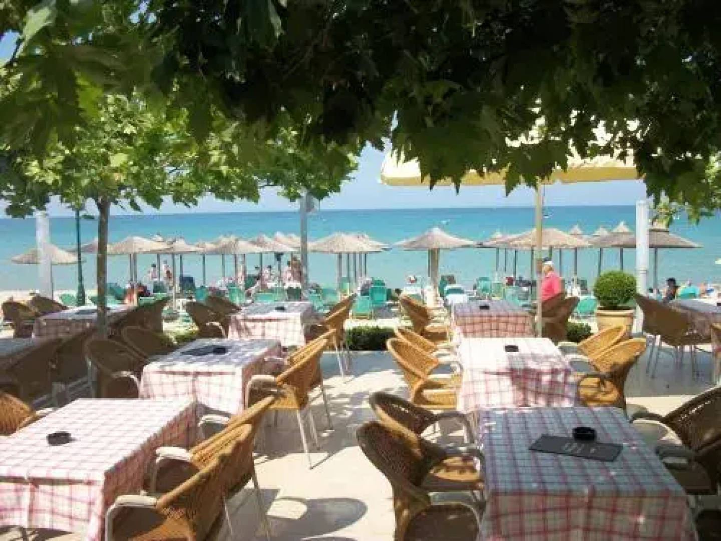Alkioni By The Sea