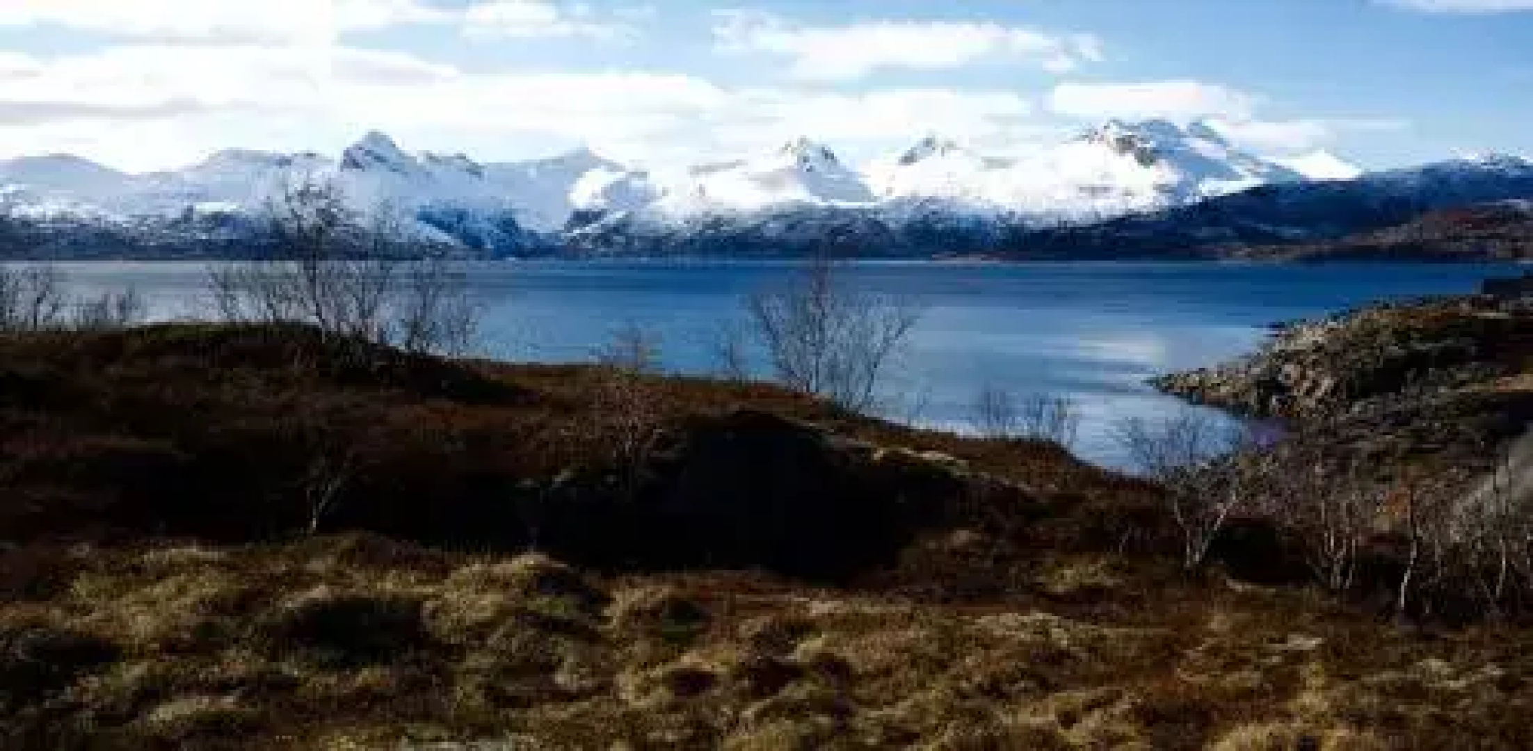 Vestfjord Service Villa