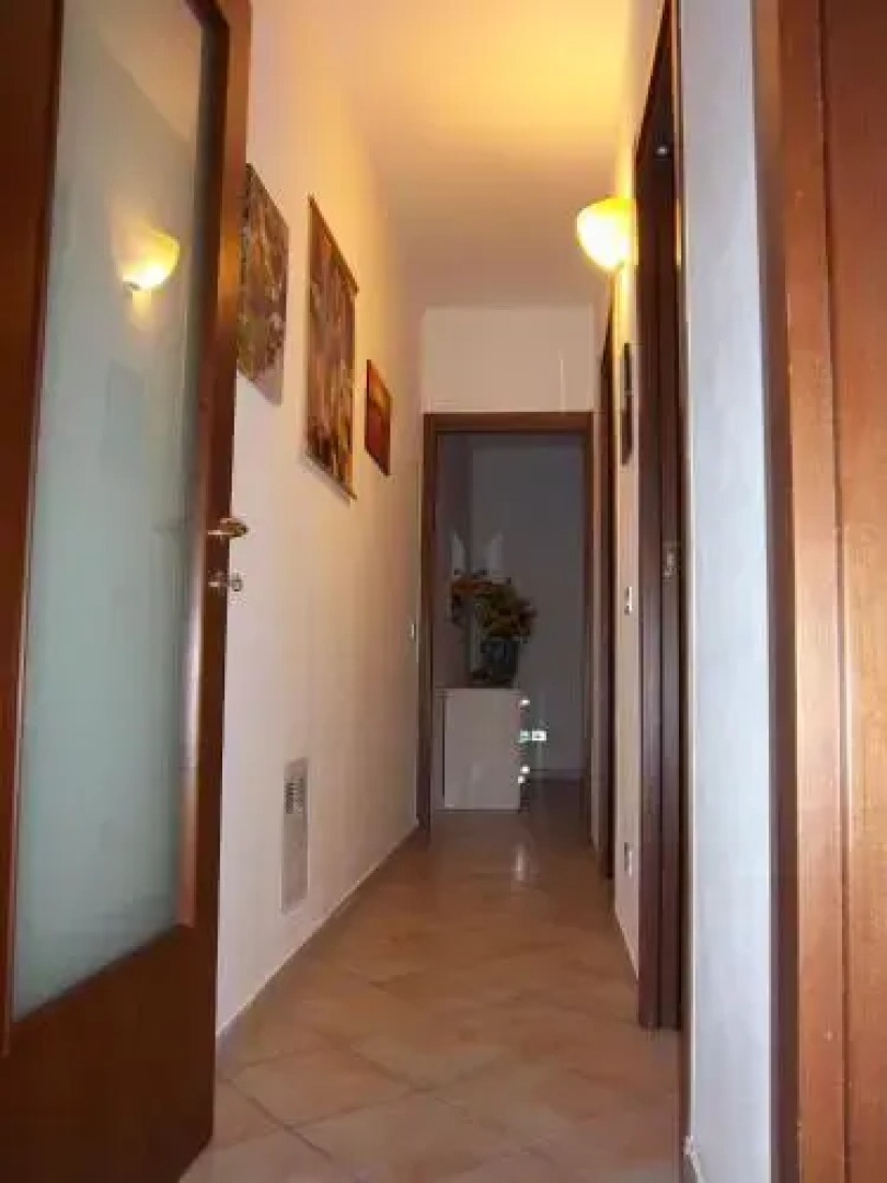Casa Petunia