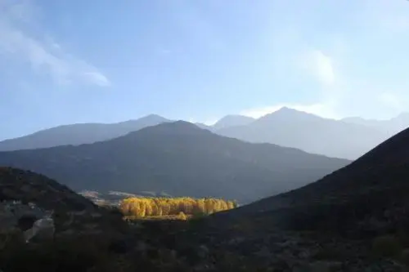 Las Margaritas