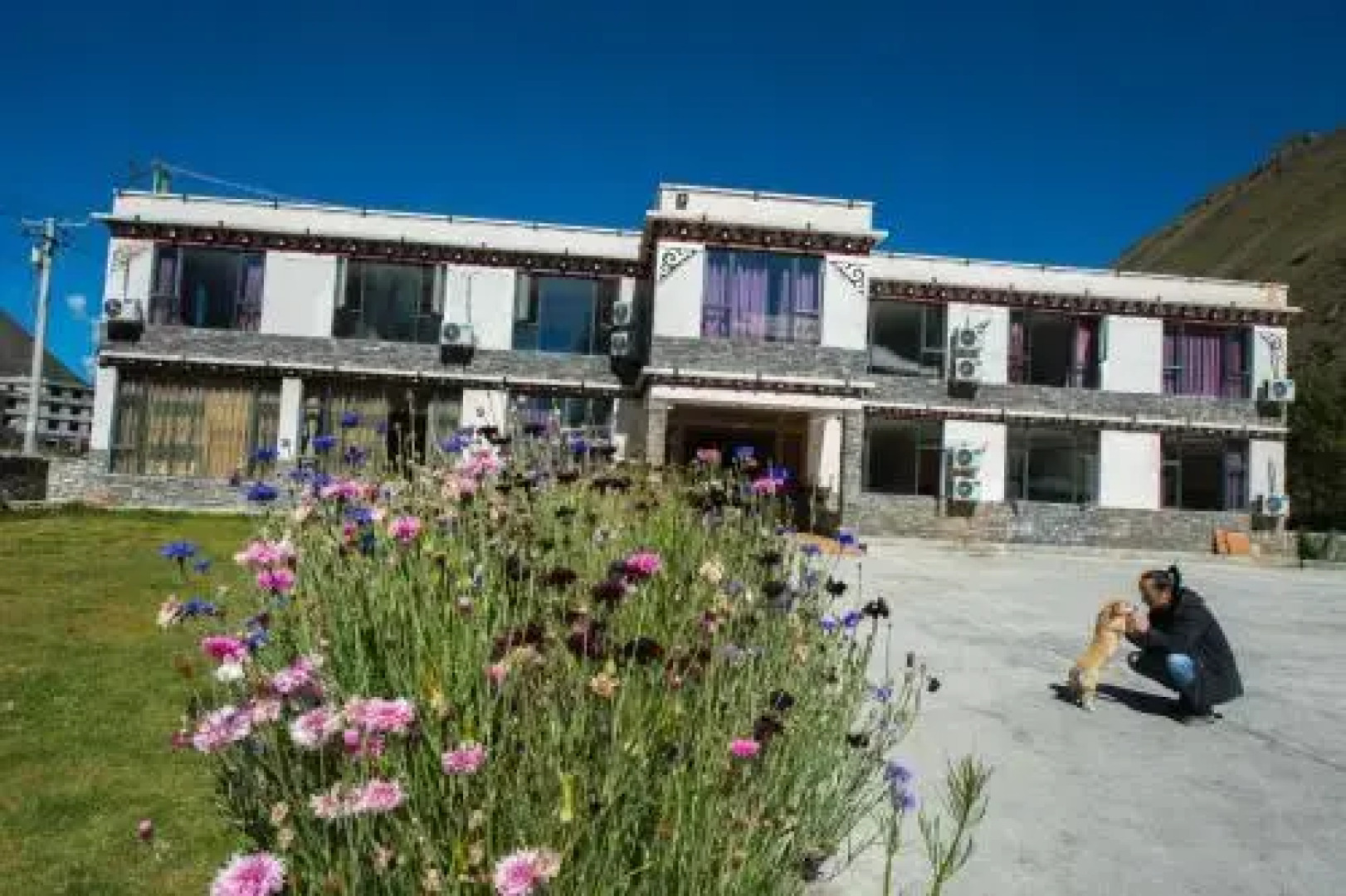 Xinduqiao Yak International Youth Hostel
