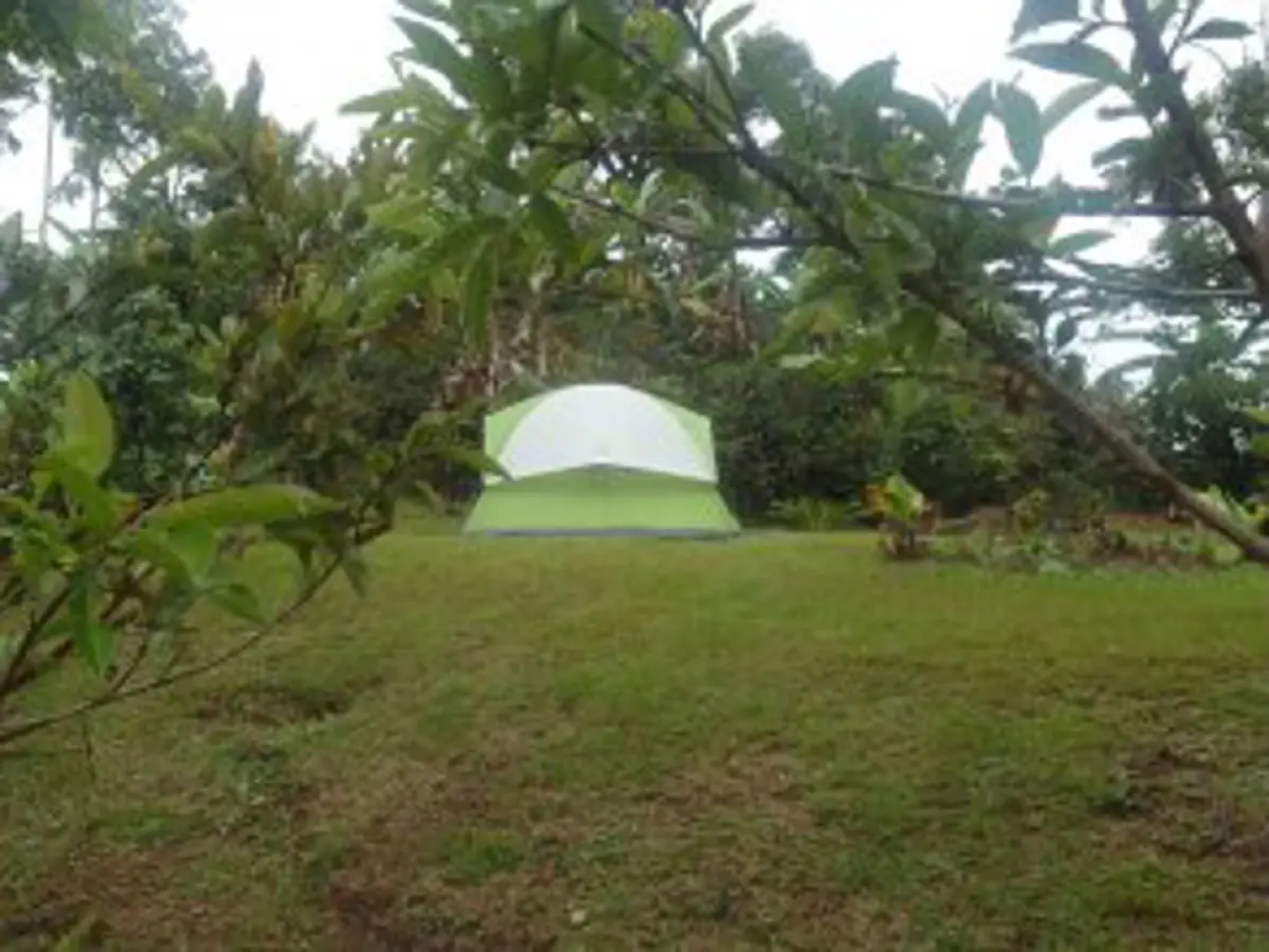La Nohelia Camping