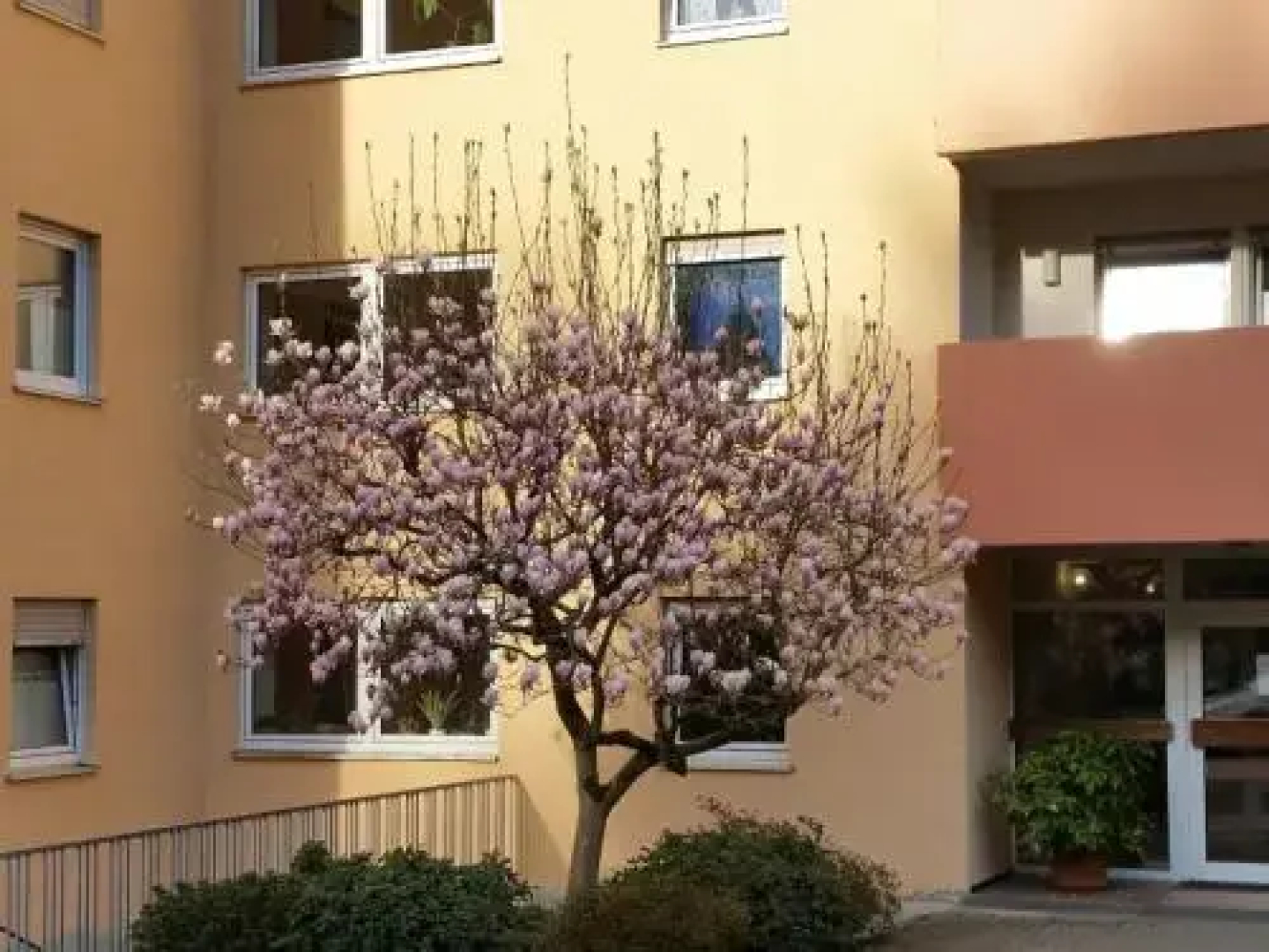 Ferienwohnung Am Waldsee Mit Schwimmbad