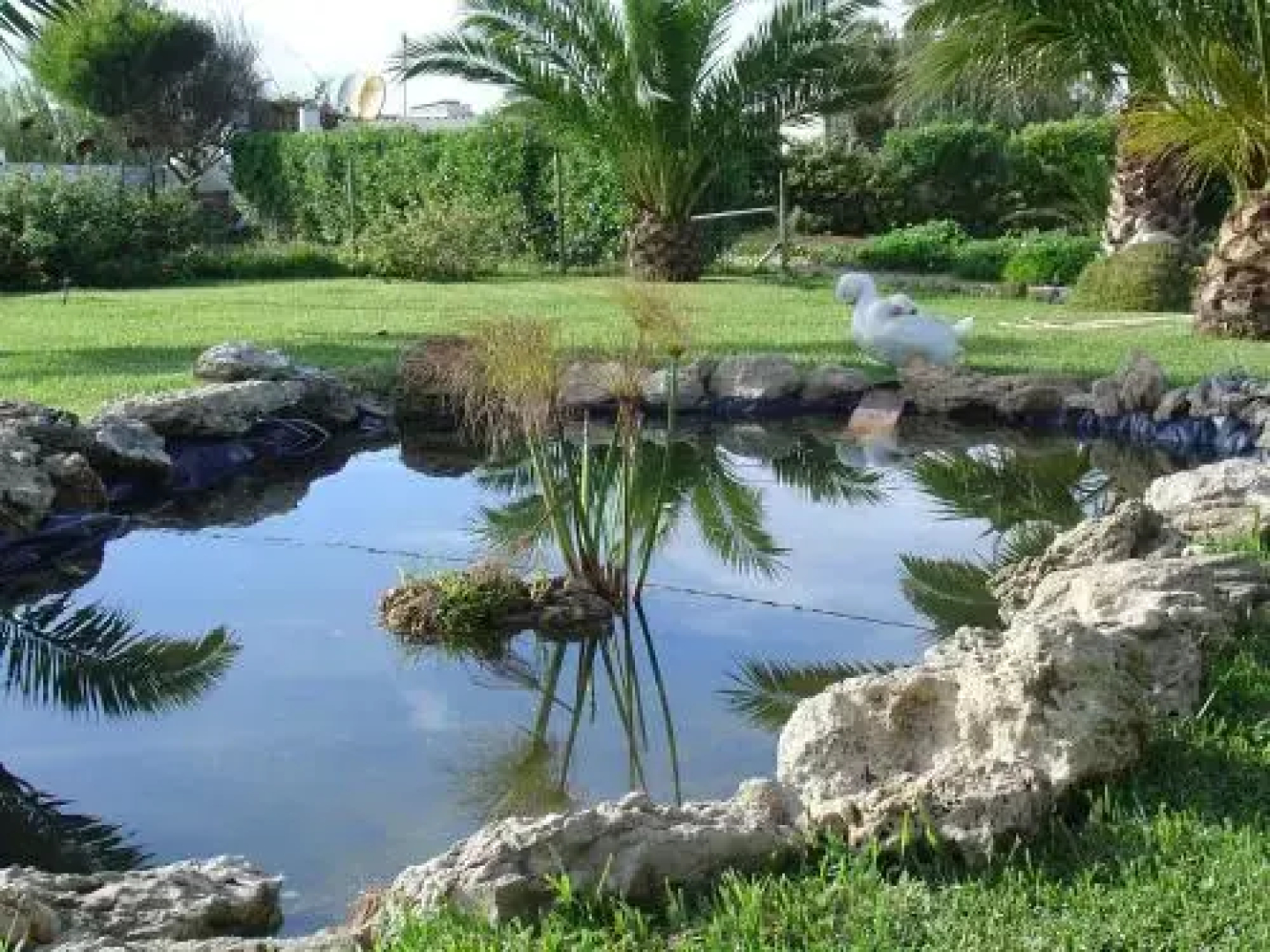 Quinta Beira-Mar