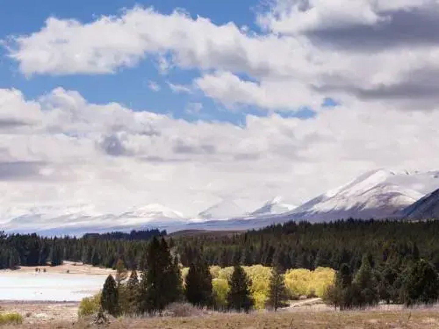 Lake Tekapo Holiday Homes