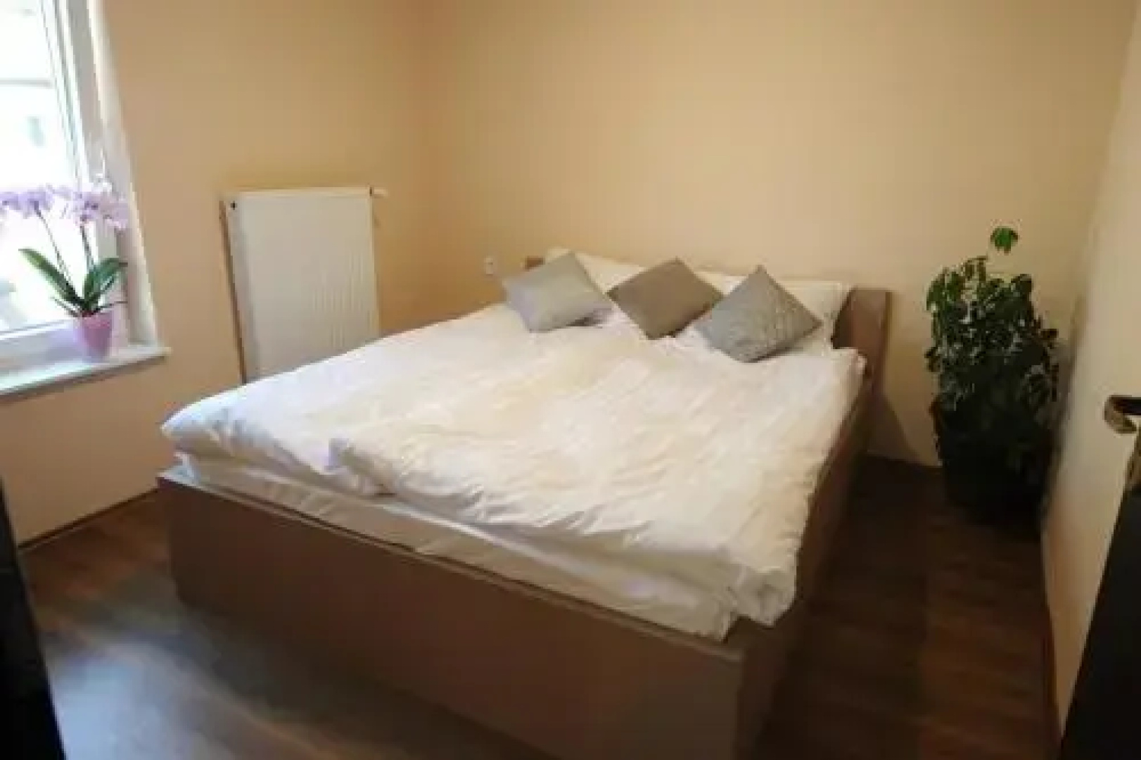 Tiszaligeti Motel & Camping