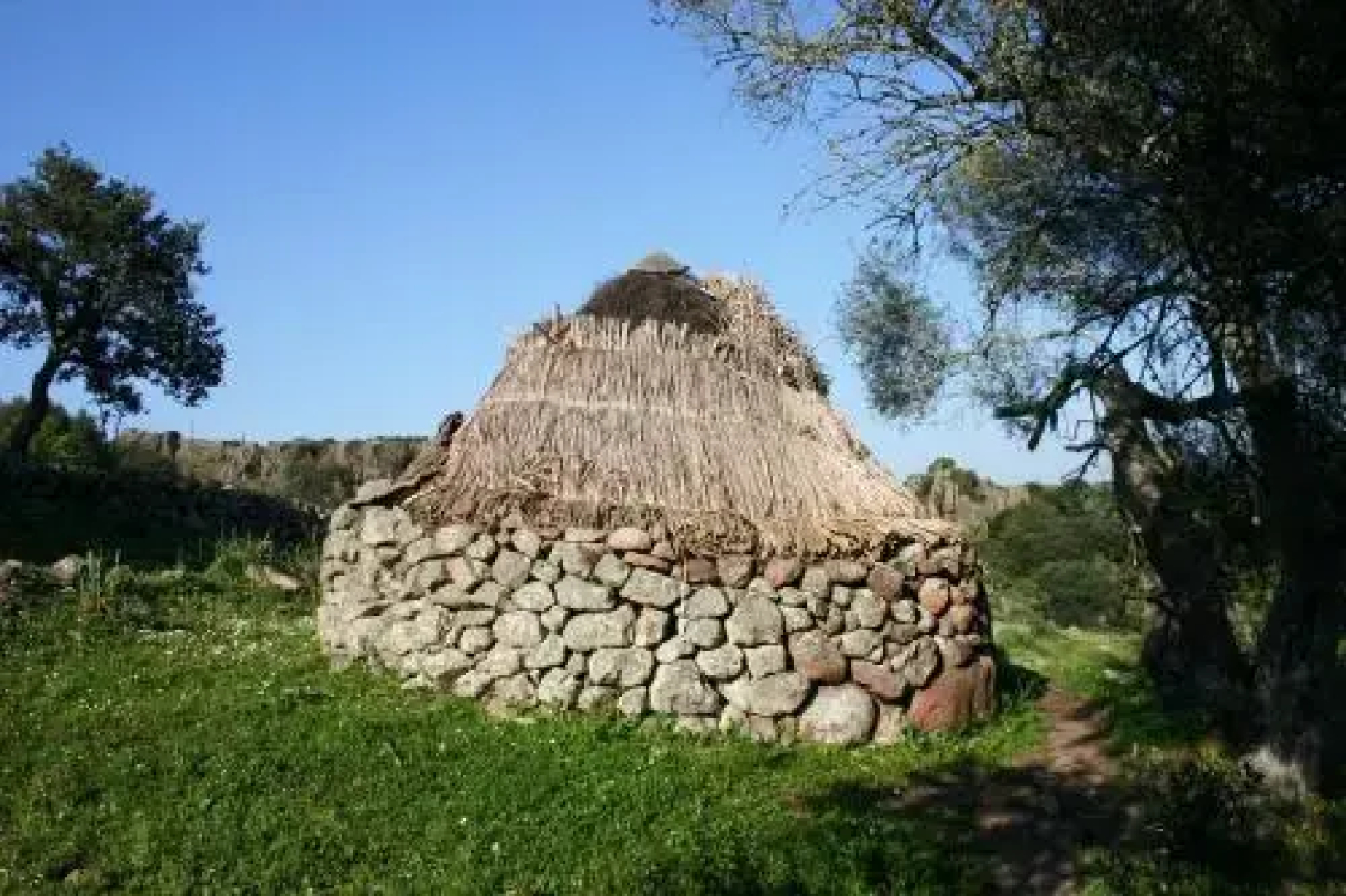 MENDULAS