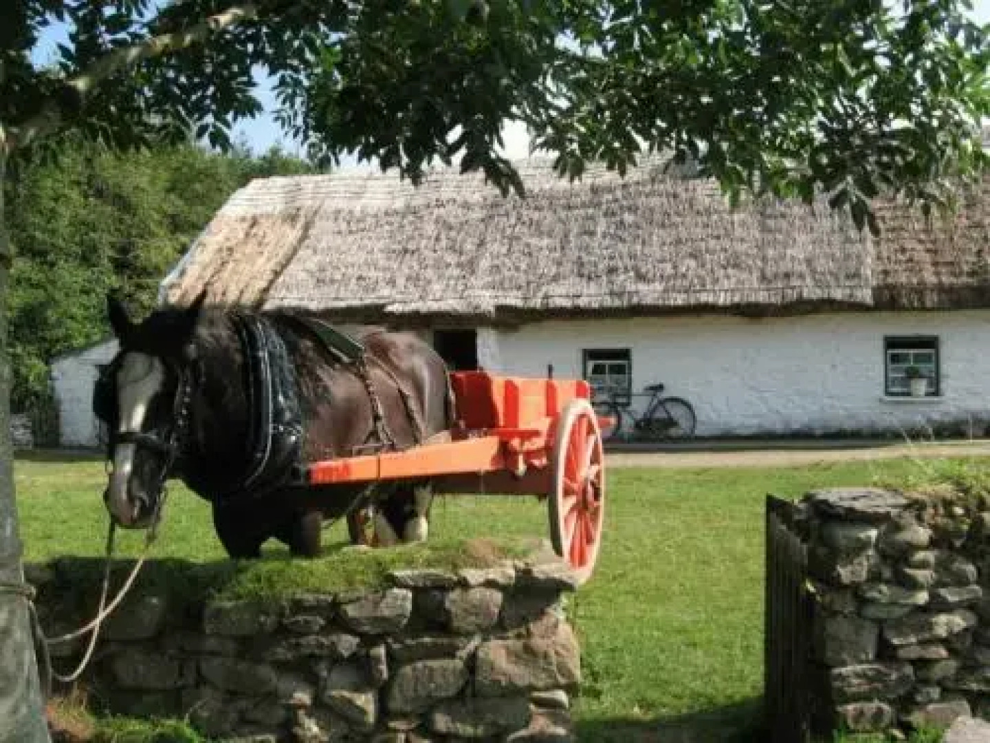 Killarney Holiday Home Luxury by Lakes