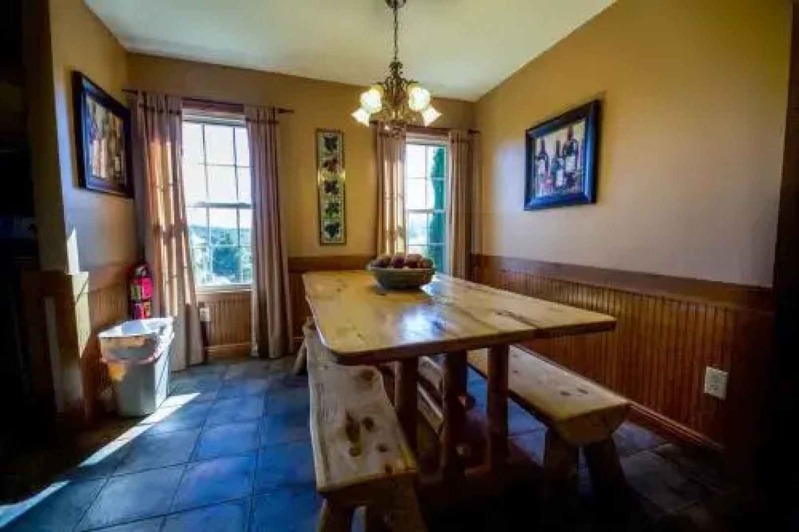 Coyote - Hocking Hills